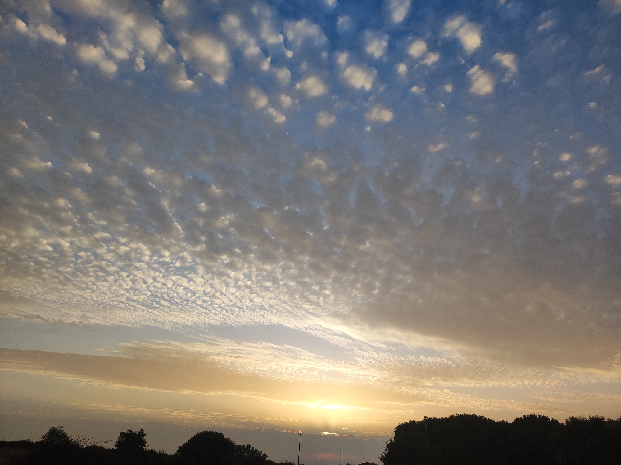 The image captures a serene sky at sunrise or sunset over Sobradillo, Spain. The sky is a canvas of soft blues, oranges, and yellows, with distinct cloud formations. Wispy, scattered clouds resembling ripples or small cotton balls dominate the upper portion of the sky, gradually giving way to broader, horizontal bands of lighter clouds closer to the horizon. The sun is a bright, diffused glow just above the treeline, casting a warm light that illuminates the clouds and creates a gentle gradient of colors across the sky.
Silhouetted against the vibrant sky is a dark, dense treeline that stretches across the bottom of the frame, suggesting a rural or suburban landscape. The tops of the trees are uneven, indicating a natural, untamed growth. There are a few faint signs of man-made objects in the lower part of the image, possibly streetlights or poles, but they are largely obscured by the darkness of the trees and do not detract from the natural beauty of the scene.
The overall mood is one of tranquility and natural beauty. The soft lighting and the gentle cloud patterns evoke a sense of peace and quiet. The time of day is clearly indicated by the low position of the sun and the warm, golden hues in the sky. The location is identified as Sobradillo, Spain, and the landscape depicted is consistent with a Spanish countryside. There is no visible text in the image.