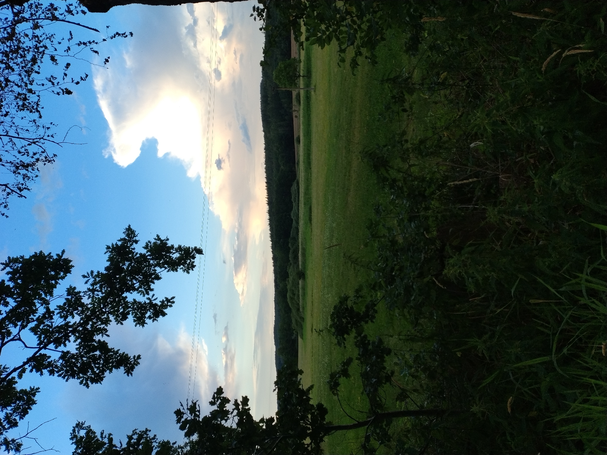 The image shows a rural landscape in Dobev, Czechia. In the foreground, dark silhouettes of trees and foliage frame the view. Beyond the foreground, a vast green field stretches out, dotted with patches of wildflowers. In the middle ground, a line of dark green trees forms a dense forest. A single, slender utility pole stands in the field, with power lines running horizontally across the sky. The sky is a vibrant blue, with dramatic white clouds, one of which is brightly illuminated by the sun. The overall scene depicts a natural, serene environment.