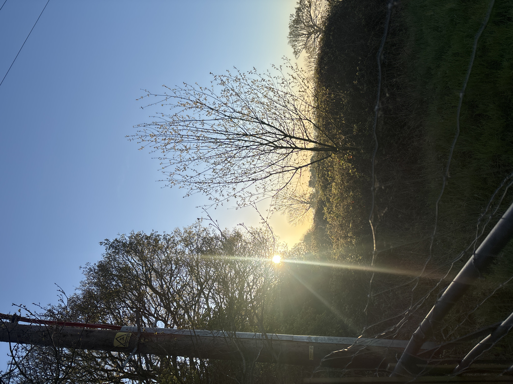 The photograph depicts a rural scene near Welwyn Hatfield, United Kingdom. A wooden utility pole with a visible danger sign spans the lower portion of the frame, partially obscured by tree branches. Beyond the pole, the sun is prominently positioned in the center of the image, creating a strong lens flare. To the right of the frame is a hedgerow with a wire fence. In the upper left portion of the frame is a clear blue sky with thin power lines crossing. A bare tree is placed in front of the sky, slightly obscured by the sunlight.