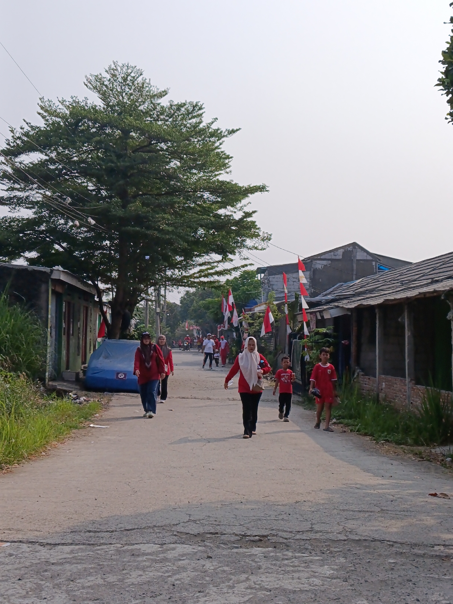 In Cariu, Indonesia, a group of people are walking down a paved road lined with modest buildings and sparse vegetation. A large, leafy tree stands prominently on the left side of the frame, with power lines running through its branches. Red and white flags are strung along the street, suggesting a local celebration or event. Several individuals, mostly dressed in red, are walking towards the viewer. A blue-covered object, possibly a vehicle, is parked on the side of the road near the tree. The sky is overcast, casting a soft light on the scene.