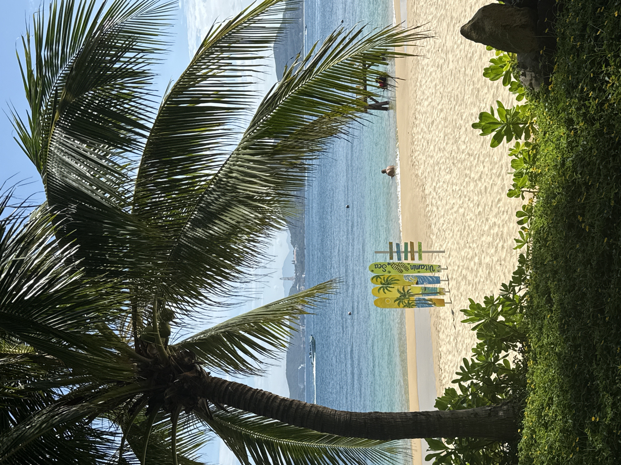 The image depicts a coastal scene in Nha Trang Ward, Vietnam. A palm tree dominates the left side of the frame, partially obscuring the view. The background features a sandy beach meeting a calm, light blue sea.
Visible on the beach are several decorative, surfboard-shaped signs with "Vitamin Sea" text. A few indistinct figures are present on the beach and in the water. A distant landmass can be seen in the background. The right side of the frame contains lush green vegetation growing near the edge of the beach. A motorboat is visible on the water, along with at least one other small watercraft.