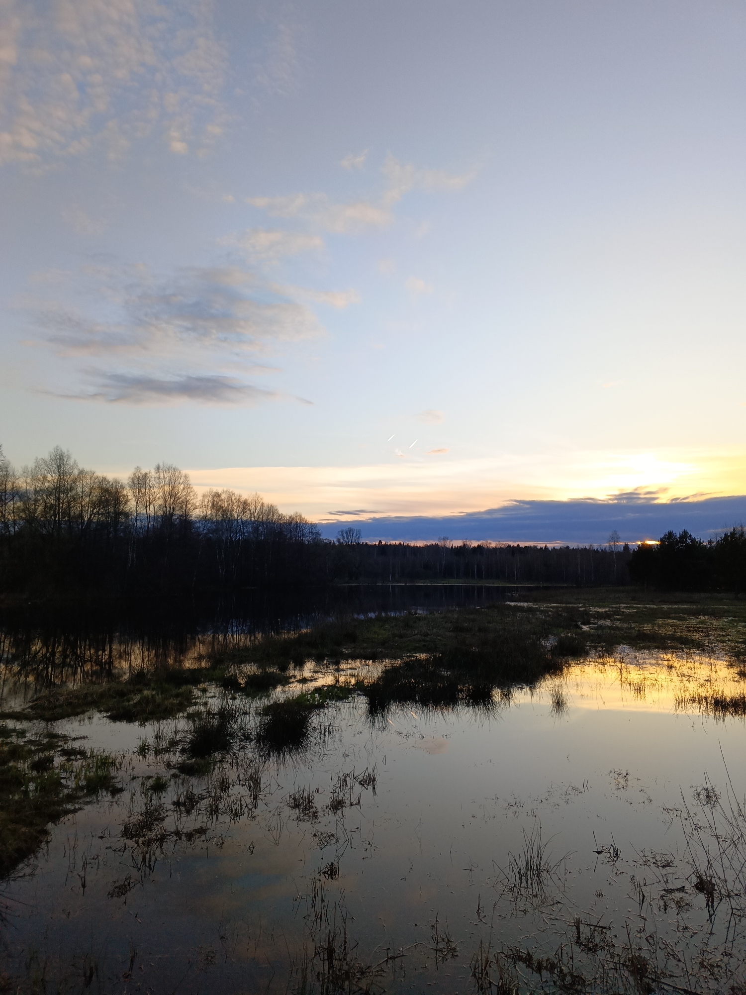 The image shows a tranquil landscape at sunset near Красный Маяк, Russia. A body of water fills the foreground, reflecting the colors of the sky. Sparse vegetation, including grasses and brush, emerges from the water. Along the horizon, a line of trees is silhouetted against the sky. The sky is a blend of blue, white, and orange hues. Two faint contrails from an aircraft can be seen in the sky.