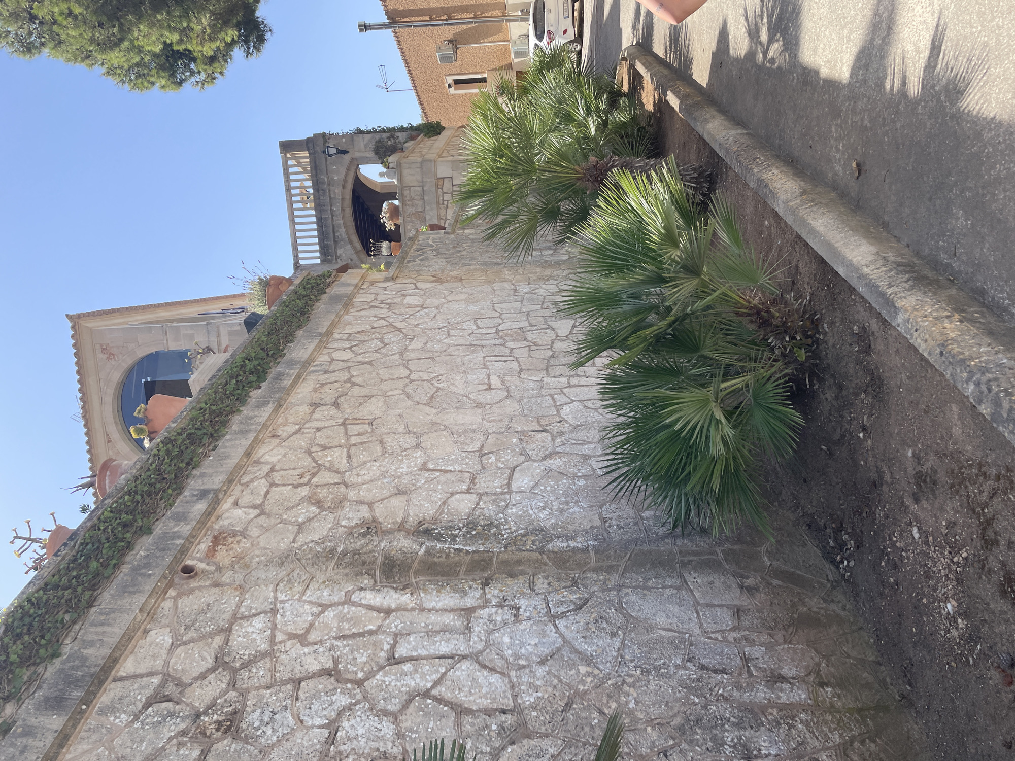 The image depicts a street scene in Cala Figuera, Spain, on a sunny day. The foreground is dominated by a textured stone wall on the left, overgrown with ivy along the top. In front of the wall, a strip of dark soil is planted with several bushy palm trees. A concrete curb separates the soil from a paved street on the right, where shadows from palm fronds are cast.
Further back, a building with light-colored stucco and a red-tiled roof is visible. It features an arched window on the upper level and a balcony supported by an archway. Potted plants with green and yellow foliage are placed on ledges and near the balcony. To the right of this building, another building with orange stucco and a metal roof vent is seen. A white car is parked on the street in front of the orange building. The sky is clear and blue. A person's arm, with visible tattoos, is partially visible in the lower right corner of the frame.