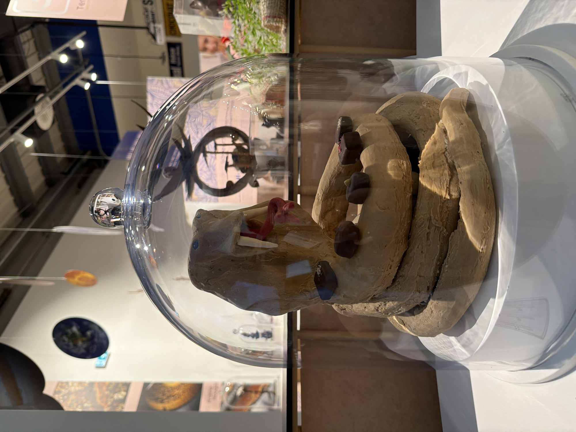 A display featuring a coiled, textured object under a glass cloche is the central focus of the image, captured indoors, likely within an exhibition or museum setting in Illkirch-Graffenstaden, France.
The main subject is a light brown, earthy-toned, serpentine or worm-like model, coiled multiple times to fit within the clear, domed glass cloche. The object has a rough, somewhat lumpy texture. Towards its visible head, it features small white protrusions resembling teeth or fangs, and a reddish, fleshy-looking element, possibly a tongue or throat, is visible. Several dark brown, irregular, pebble-like shapes are embedded or resting on its body, particularly on the upper coils. The glass cloche has a small, clear, spherical handle on its top and rests on a simple, round, white base.
The environment visible through and reflected in the glass cloche indicates an exhibition space. Overhead, bright track lighting is prominently reflected. In the background, blurry signs and display elements can be seen, with partial text fragments like "Ter..." and "S" being faintly discernible. Reflections also show a decorative, dark, circular object with spokes, and some green foliage. Further in the background, two circular, disc-like objects—one blue resembling Earth and another orange-yellow—appear to be part of an elaborate suspended display. The overall lighting is bright, creating clear shadows. No people are explicitly visible, but blurred reflections in the cloche suggest their presence in the vicinity. The scene conveys a calm, well-lit educational or artistic presentation.