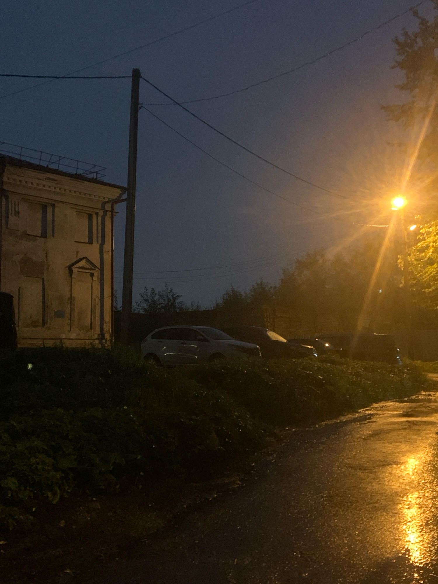 The image depicts a street scene in Arkhangelsk, Russia, at dusk or night. A single, light-colored building with a decorative facade stands on the left. In front of the building, a patch of dark green foliage is visible. A utility pole stands to the right of the building, with electrical wires running overhead. Several cars are parked or driving on the wet road to the right of the foliage, illuminated by a bright street lamp. The road surface is reflective, suggesting recent rain. Trees and other vegetation are present in the background, partially obscured by the dim lighting and mist. The sky is a dark blue, transitioning to a lighter shade near the horizon, and the overall atmosphere is somber.