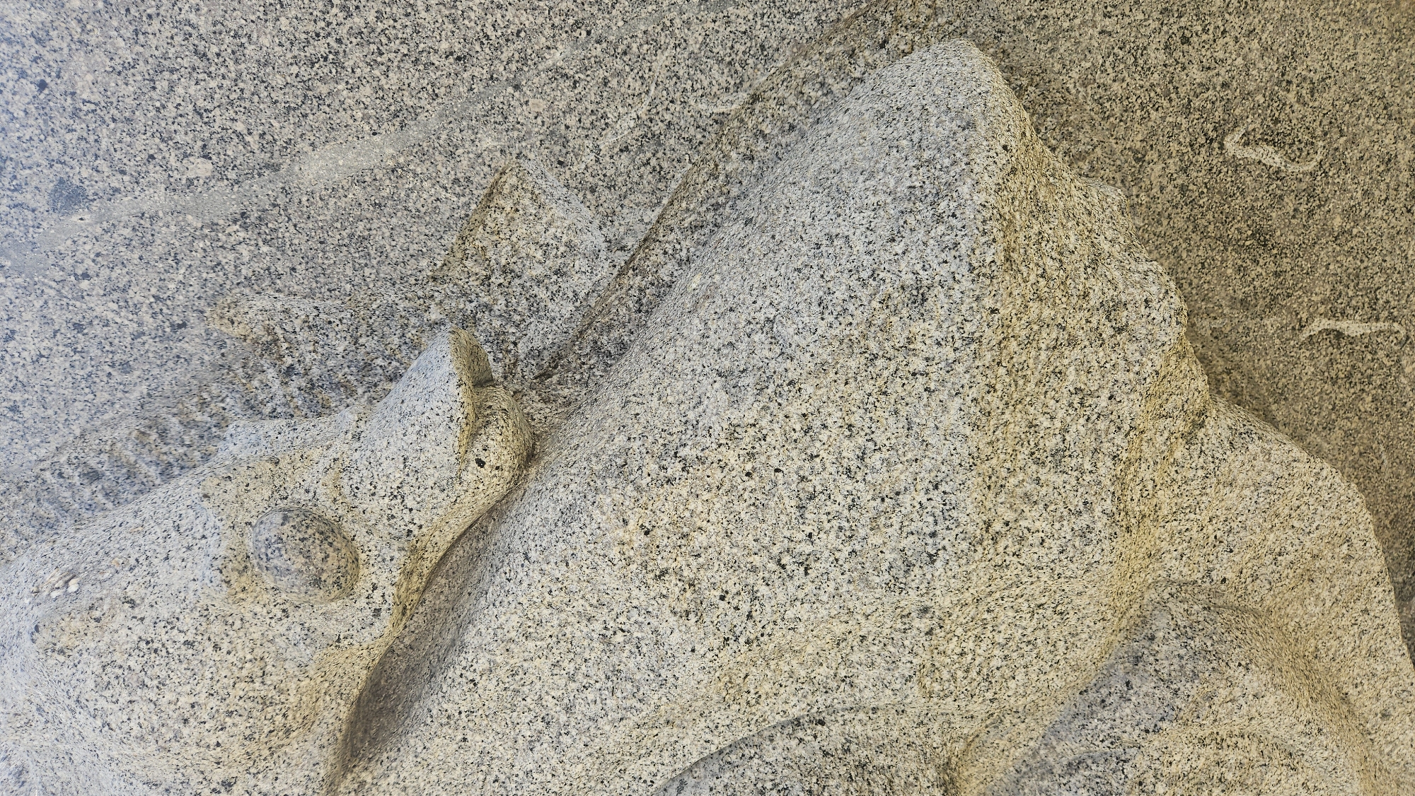 The image depicts a close-up view of granite rock. The rock has a rough texture with a speckled pattern of black and gray grains. There are distinct crevices and ridges carved into the rock's surface, creating a sense of depth and dimension. The carving appears to be the work of man. The image does not reveal information about the location within Nha Trang, Vietnam, nor does it show people, animals, or any discernible activity.