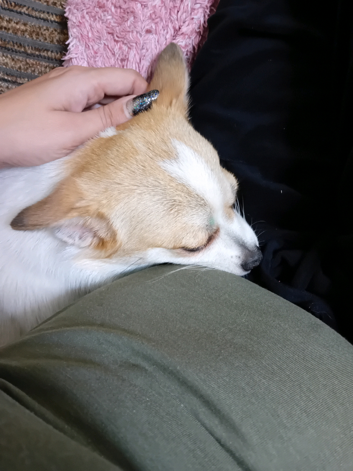 A close-up, over-the-shoulder shot shows a small dog with white and tan fur sleeping peacefully, resting its head on a person's lap covered by olive green pants. The dog's eyes are closed, and its ears are perked slightly forward. A human hand with a sparkly black and silver nail is gently touching the dog's head. In the background, a pink fuzzy blanket and a black fabric are visible. The scene appears to be indoors, likely a comfortable setting within a home. The image does not provide any information about the location in the city of Chuhuiv, Ukraine.