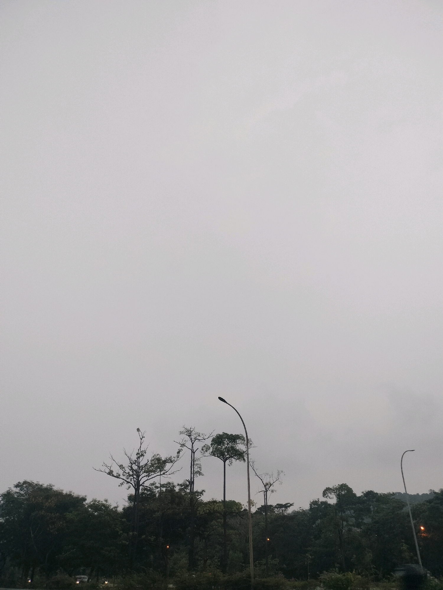 The image depicts a dimly lit outdoor scene, likely in a rural or forested area, given the prevalence of trees and vegetation. The sky is overcast with a light gray hue, suggesting a cloudy or foggy atmosphere. In the foreground, a dense line of trees forms a dark silhouette against the sky. Several tall, slender trees with sparse foliage stand out amongst the denser vegetation, some appearing dead or bare. Two streetlights are visible: one on the left with a curved pole and a light fixture at the top, and another on the right with a similar design. A faint orange glow from what appears to be a traffic light is visible amidst the trees on the left side of the image. The overall impression is one of a quiet, possibly damp environment. It is difficult to ascertain specific urban landmarks or activities within Batam, Indonesia from this image, as it focuses primarily on the natural landscape and infrastructure elements like streetlights. There are no discernible people or direct interactions shown.