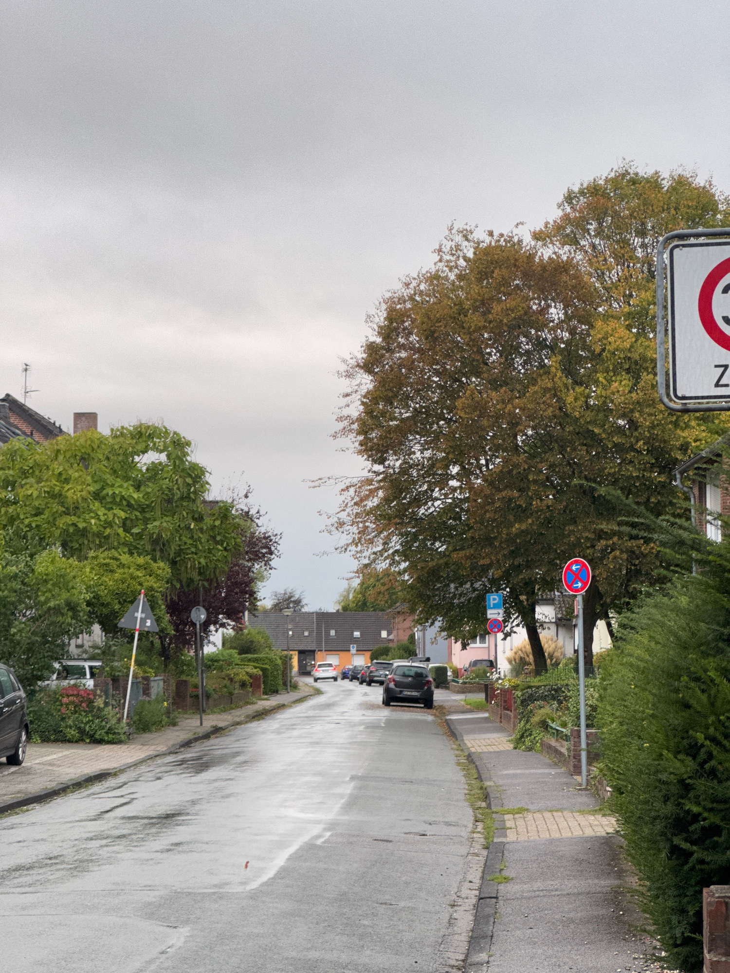 The image shows a street in Cleves, Germany, under an overcast sky. The road surface is wet, indicating recent rain. On the right side of the street, a green hedge runs along the sidewalk. Several trees are visible, some with autumn foliage. Various traffic signs are present, including a speed limit sign with "30" inside a red circle and a "Z" below it, and another sign with a blue "P" indicating parking, and a prohibitory sign showing two arrows pointing in opposite directions within a red circle. Cars are parked on the side of the street and a few are driving along it. Residential buildings are visible in the background, with pitched roofs and windows. The scene appears to be a quiet residential street.
