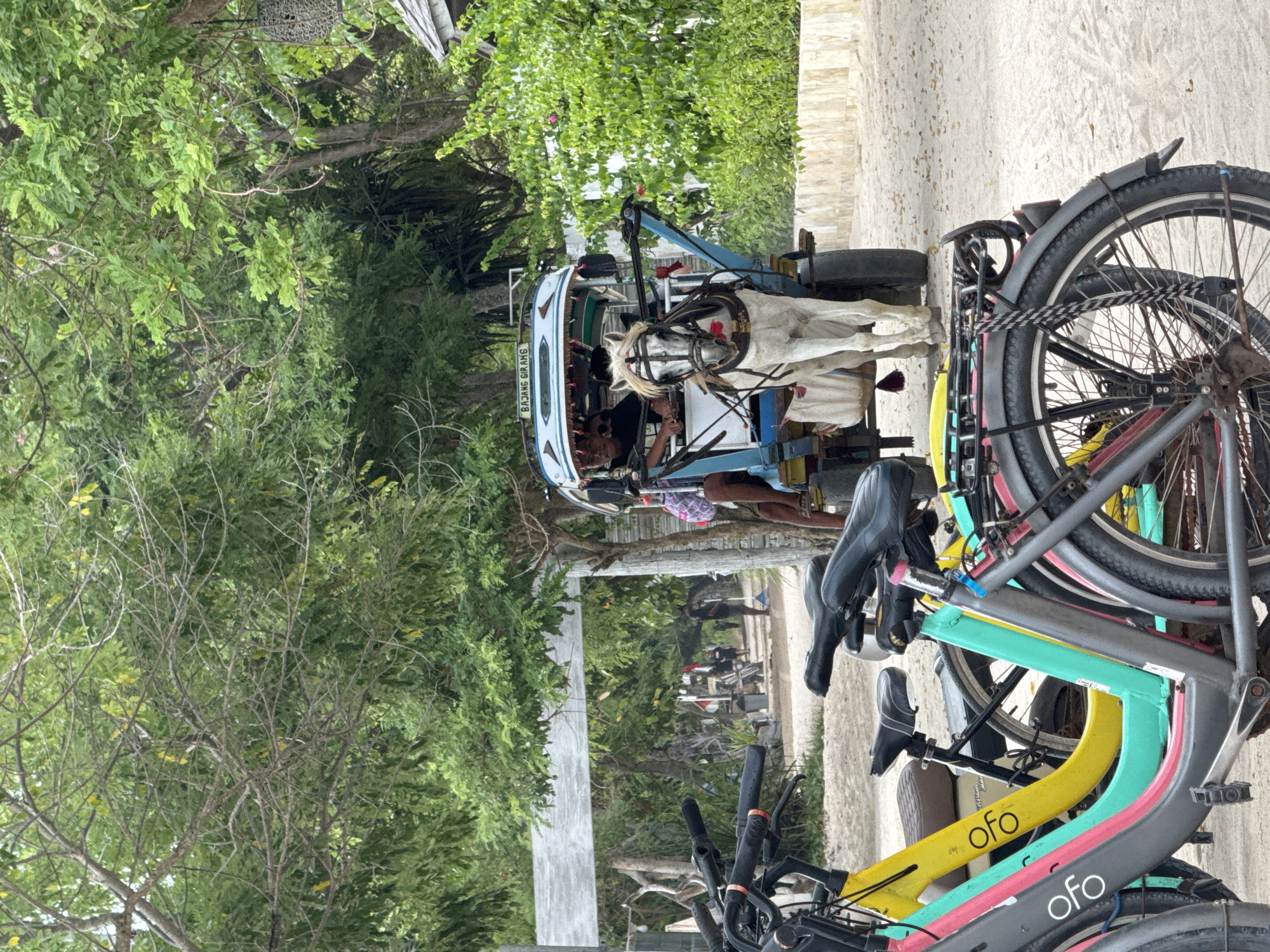 The image shows a horse-drawn carriage with two people, a driver and a passenger, on a sandy path lined with trees. A group of bicycles with the "ofo" logo are visible in the foreground. The location is in the city of Unknown, Indonesia.