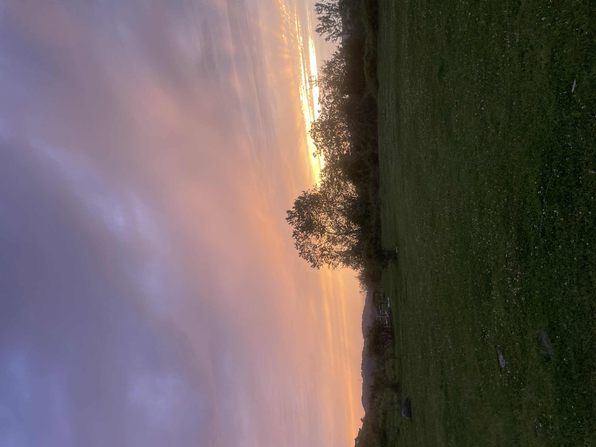 The image shows a landscape at dusk or dawn. The sky is a gradient of purple, pink, and orange, indicating the sun is near the horizon. Silhouetted trees line the horizon, separating the sky from a green field. In the field, there appears to be a wooden structure, possibly a picnic table or fence. The grass in the field is short and dense. The image is rotated ninety degrees. The location is presumed to be near Baranovka, Russia, though there are no explicit visual cues within the image to confirm this.
