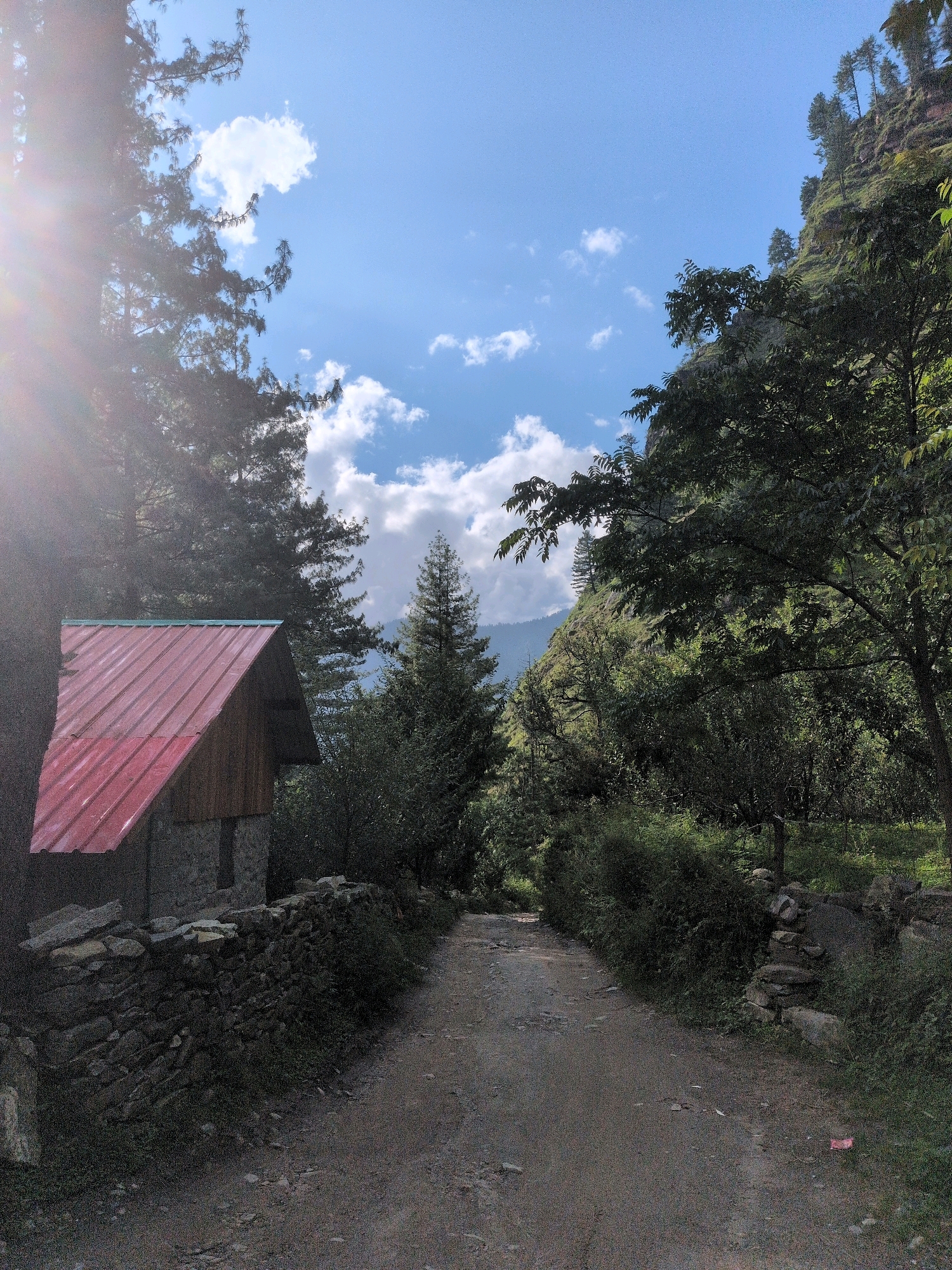 The image depicts a dirt road leading through a lush, green mountainous landscape. On the left side of the road, a small stone structure with a red metal roof is visible, partially obscured by trees. The structure appears to be a house or a shed. A low stone wall runs along the edge of the road in front of the structure. The road itself is unpaved and appears well-trodden, suggesting it is used regularly.
The environment is characterized by dense foliage, with numerous trees and bushes lining both sides of the road. The trees on the left are tall and dense, with sunlight filtering through their leaves and casting lens flare across the upper left portion of the image. On the right side, the terrain slopes upwards, with trees and vegetation covering the hillside. The sky is blue with scattered white clouds. The overall impression is one of a rural or remote location, likely in a mountainous region. The specific mention of Dashal, India, suggests this scene is located in that geographical area.
