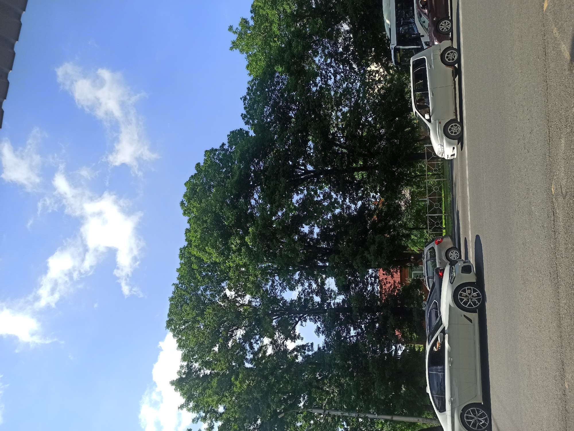 The image shows a street scene in Atabe, Georgia. The foreground is dominated by an asphalt road with white lane markings and yellow lines. Several cars are parked along the side of the road, including a white car in the foreground with a distinctive wheel design, a white hatchback behind it, and a darker colored vehicle further down the street. Trees with lush green foliage line the road, casting shadows on the asphalt. In the background, there are glimpses of buildings with red-tiled roofs and a decorative metal fence.
The sky is a clear blue with scattered white clouds, suggesting it is a sunny day, likely late morning or early afternoon. The sun appears to be high in the sky, creating distinct shadows. The overall scene conveys a sense of everyday life in a suburban or residential area. There is no visible text in the image.