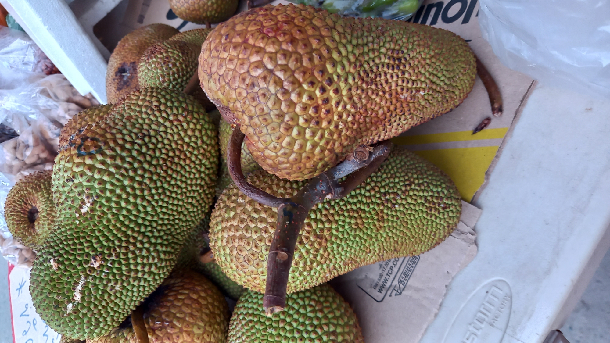 This is a close-up, eye-level, indoor photograph of a pile of jackfruits at a market stall in Ko Pha-ngan District, Thailand. The jackfruits are in various stages of ripeness, with some being a vibrant green and others a golden-brown color. Their spiky exteriors are clearly visible. A small branch, likely from the jackfruit tree, is positioned across two of the fruits. The jackfruits are resting on a cardboard surface, with a portion of a white plastic crate and some plastic bags filled with nuts or seeds visible in the background. The lighting appears to be from overhead. There are no people visible in the frame.