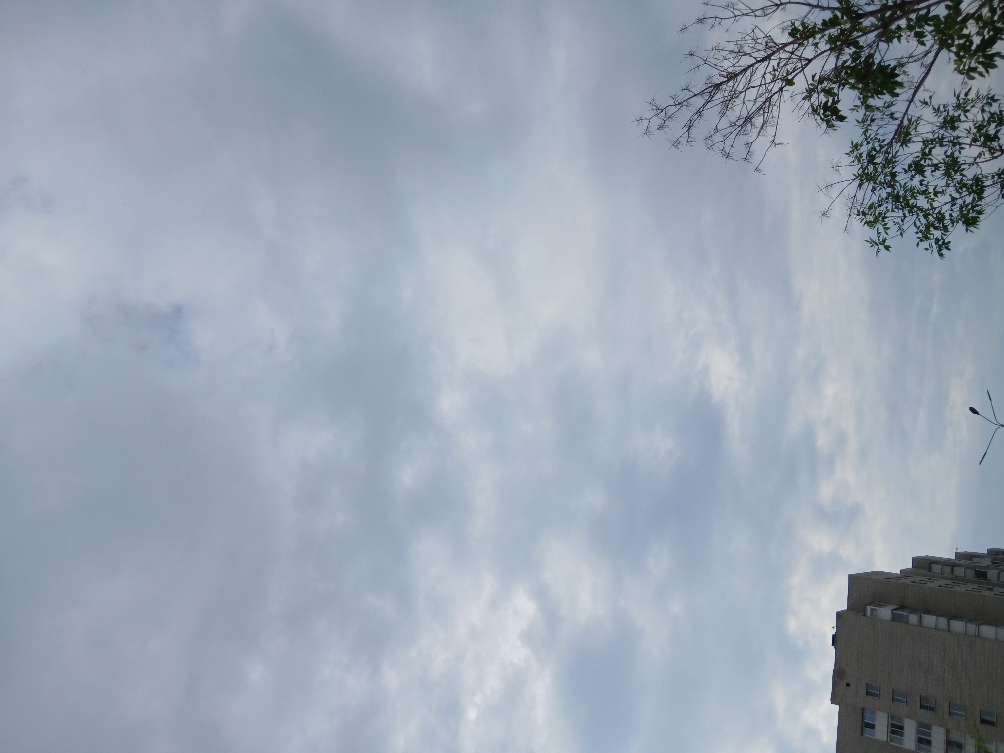 The image shows a view of the sky above Astana, Kazakhstan. The sky is mostly cloudy with some lighter patches. In the lower left corner, the top portion of a tall, multi-story brick apartment building is visible. Its facade is light brown and features rows of windows and balconies. To the right and slightly lower than the building, branches of a tree with green leaves are visible, extending upwards into the sky. Further to the right, the bare branches of another tree are also visible. A street lamp with two arms is located near the bottom center of the image.