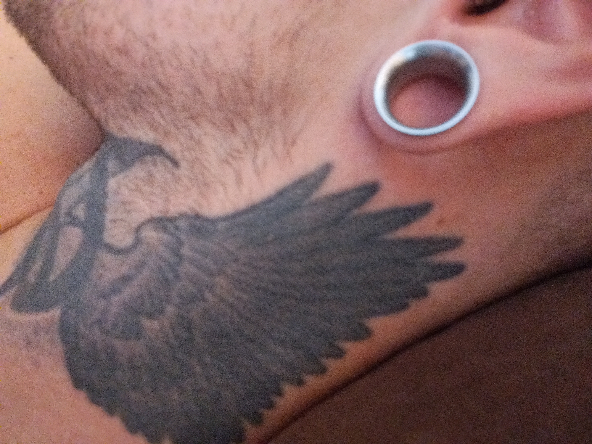 The image is a close-up, eye-level shot of a person's neck and ear. The person has a tattoo of a winged creature on their neck and a silver ear gauge in their left earlobe. The skin appears to be lightly tanned and covered in stubble on the neck. The background is blurred, but suggests an indoor setting with warm lighting. The exact location is unknown.