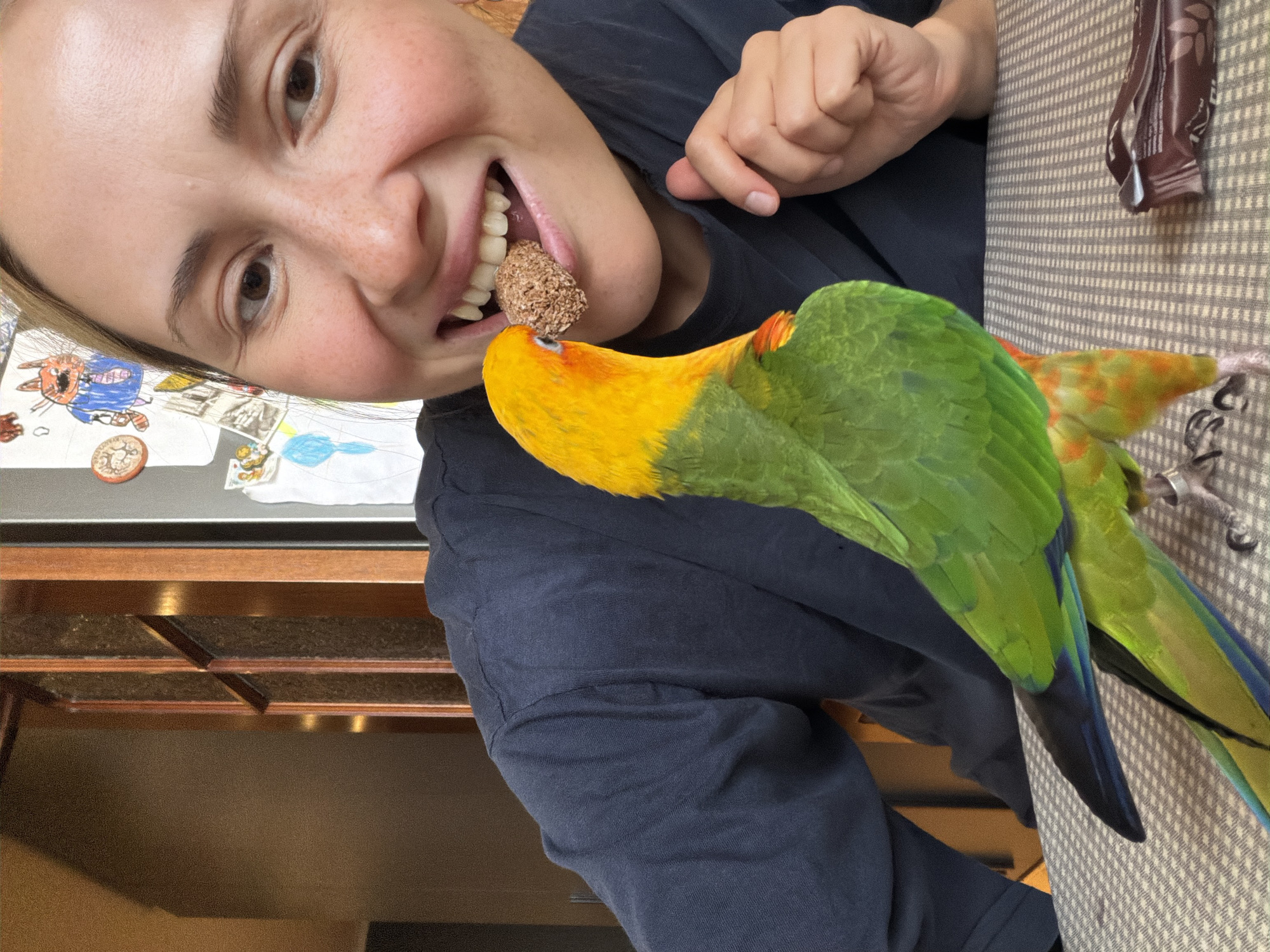 A woman is holding a small, brown, spherical object in her mouth. Her mouth is open, and her teeth are visible. A green and yellow parrot is perched on a table in front of her, with its beak touching the object in her mouth. The woman is wearing a dark blue t-shirt. The table is covered with a patterned cloth. In the background, there is a refrigerator with drawings on it and wooden cabinetry. The scene appears to be in a kitchen or dining area. The location is identified as Khimki, Russia.