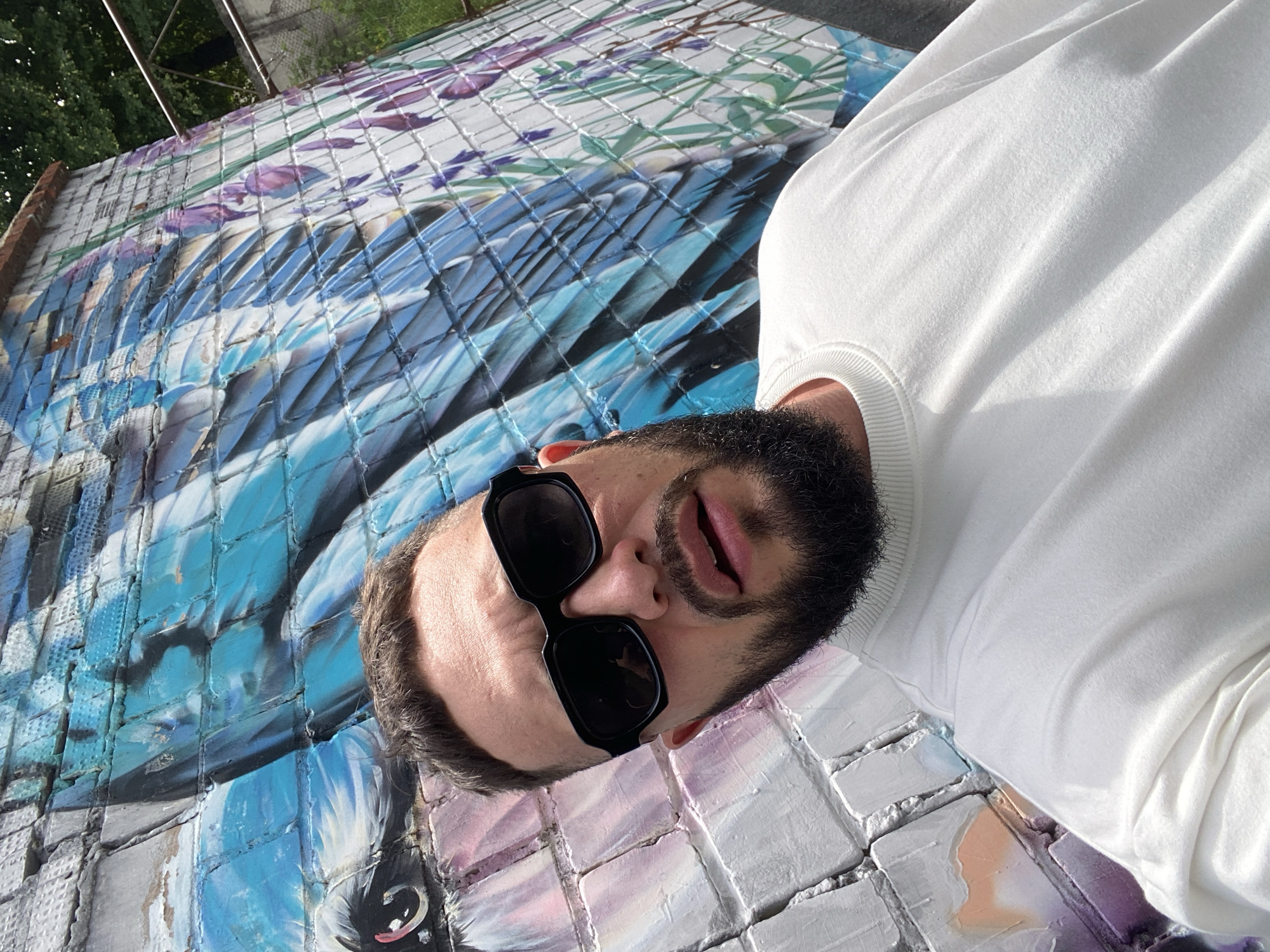 A man with dark hair, a beard, and black sunglasses is taking a selfie against a brick wall covered in graffiti of a blue bird and purple flowers. The man is wearing a white sweatshirt. The background shows greenery and a metal railing. The scene appears to be outdoors.