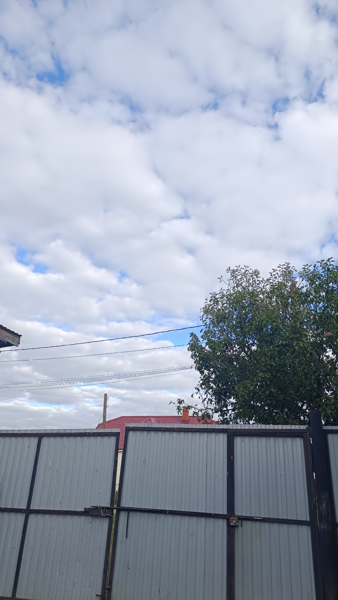 A wide-angle, medium-shot photograph depicts a cloudy sky with fluffy white clouds interspersed with patches of blue. In the foreground, a corrugated metal fence runs horizontally across the bottom of the frame. The fence is divided into two large gates, one slightly ajar. The metal is a dull grey color, with dark metal framing. To the right of the fence, the top of a dark metal gatepost is visible. Behind the fence, a large, leafy green tree with some visible red fruit is situated on the right side of the image. Further in the background, a red-roofed building is partially visible behind the tree and fence. There are several power lines stretching across the mid-ground of the image. The scene is likely an outdoor residential area. The image does not contain any discernible human subjects.