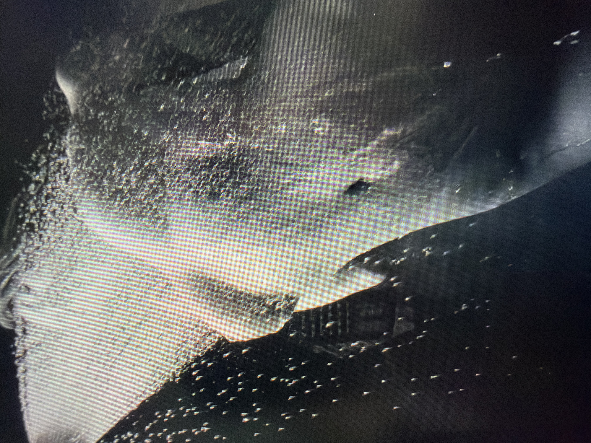 The image is a close-up, low-resolution, and abstract depiction of what appears to be a horse's head in profile, possibly submerged or in water. The surface of the horse's head is textured with a multitude of small, bright dots, suggesting reflections, water droplets, or a granular surface. The overall color palette is monochromatic, with shades of white, grey, and black dominating. The lighting is dim, with strong highlights and deep shadows, creating a dramatic and somewhat ethereal effect. The background is dark and indistinct, with a few scattered white specks that could be more light reflections or water. There are no discernible environmental features that would allow for location identification within a city.