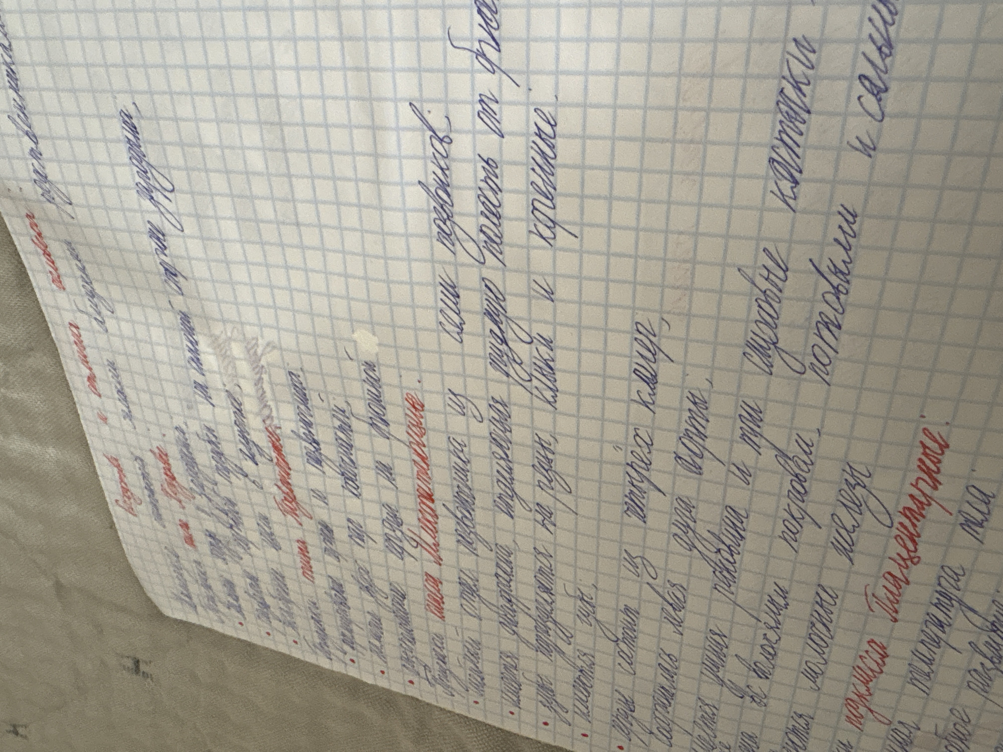 The image shows a handwritten list on lined graph paper. The writing is in blue and red ink. Some of the words are underlined in red. The overall scene suggests a note-taking or list-making activity. There is no information within the image that pertains to the city of Georgiyevsk, Russia, or any geographical context beyond what is depicted on the paper.