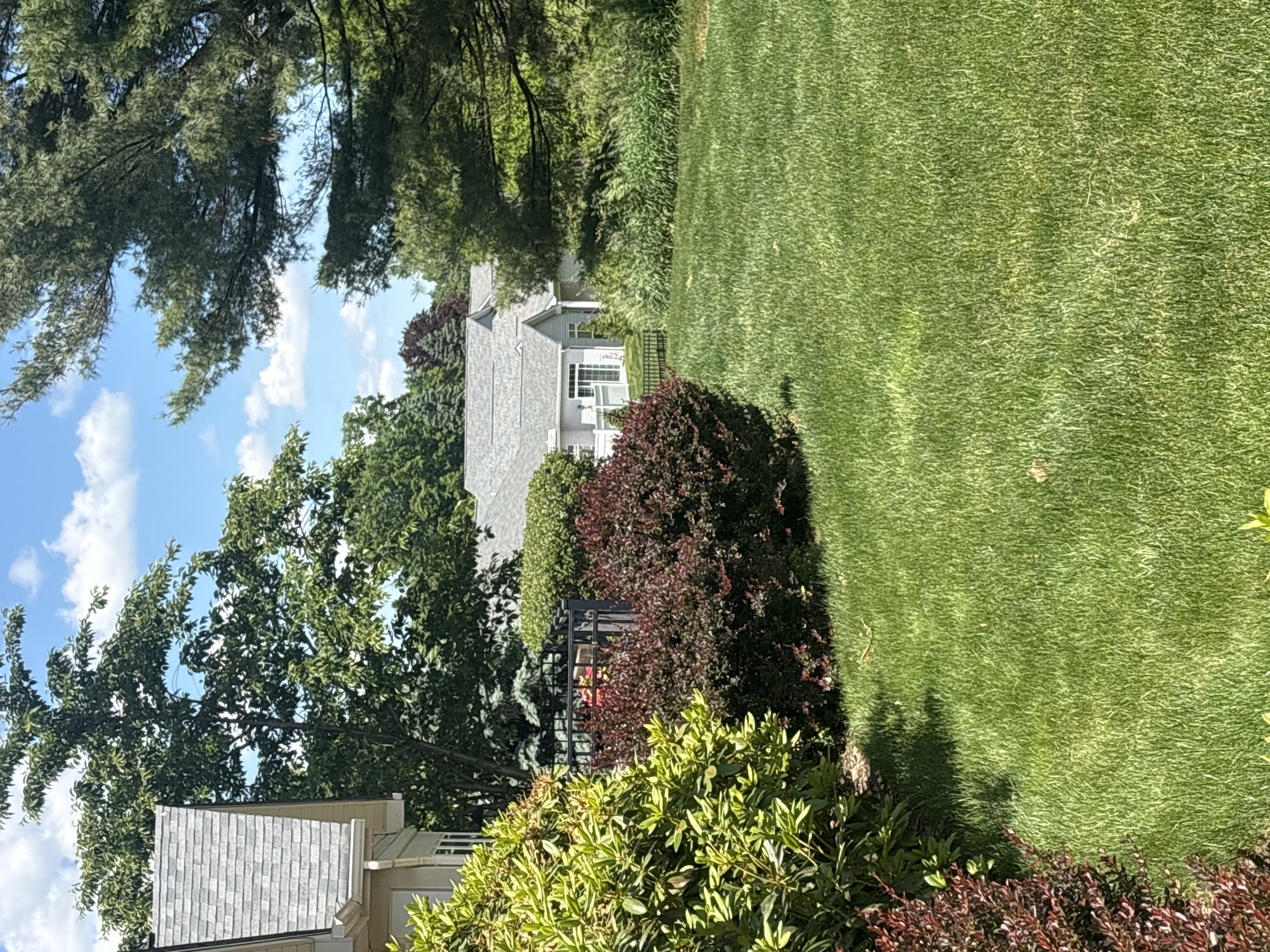 The image, presented in a portrait orientation but appearing to be a landscape photograph rotated 90 degrees counter-clockwise, captures a tranquil residential scene in Lancaster Township, United States of America. On the left side, a clear blue sky dotted with scattered white cumulus clouds is visible, partially obscured by the lush, dark green foliage of several large trees. These trees, along with various bushes in shades of bright green and reddish-brown, frame the scene and contribute to the dense landscaping.
Towards the center-right, a portion of a house is visible, featuring a grey shingled roof and a light-colored facade with white-framed windows. A black metal fence can be glimpsed behind some of the bushes, suggesting a boundary or enclosure. The right side of the image is dominated by an expansive, neatly mowed green lawn, exhibiting distinct mowing patterns and shadows, indicative of bright, mid-day sunlight. No people or visible text are present in the image. The overall impression is one of a well-maintained, serene suburban environment on a sunny day.