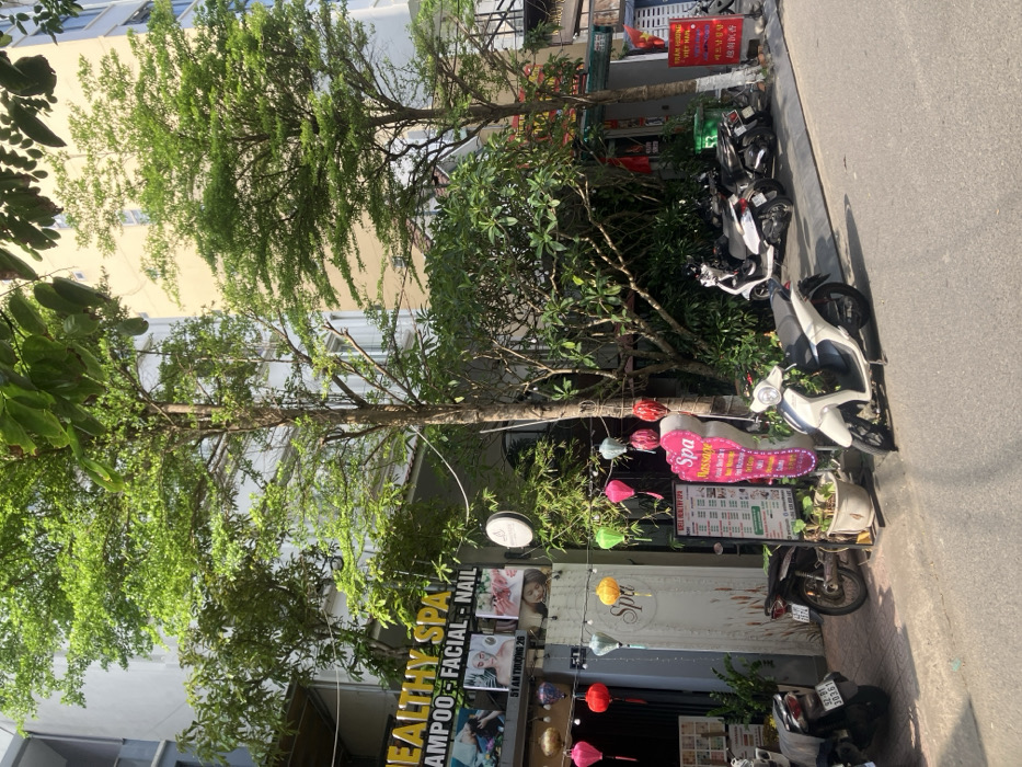 This image captures a daytime exterior street scene at 51 An Thượng 26 Street, Ngũ Hành Sơn Ward, Da Nang, Vietnam. The central subject is a multi-story commercial building identified as "Healthy Spa," displaying a prominent black sign with yellow text for "SHAMPOO - FACIAL - NAIL." Below, two photographic advertisements feature female models. The spa entrance is adorned with a string of colorful paper lanterns in red, orange, green, pink, and light blue. A tall, white menu board for "WELL HEALTHY SPA" lists services and prices in multiple languages, including English and Vietnamese, and features a QR code. Adjacent to this, a pink, curvilinear sign promotes "Spa Massage," "Body Massage," "Foot Massage," "Pedicure," "Manicure," and "Hair care."
To the right of the spa, a partially visible building displays a green house number "53" and a vertical sign for "TRẦM HƯƠNG VIỆT NAM" (Vietnamese Agarwood). The street and sidewalk are lined with numerous medium-sized trees featuring dense green foliage, providing significant shade. Several potted plants are also arranged on the sidewalk.
At least five motorbikes/scooters are parked on the concrete sidewalk and along the curb of the asphalt street. These vehicles are predominantly white and dark-colored. One motorbike on the far left has a visible license plate: "92-B1 303.61". The background consists of additional multi-story urban buildings, one with a light yellow facade. No individuals are visible in the scene. The lighting suggests a clear day, casting distinct shadows.