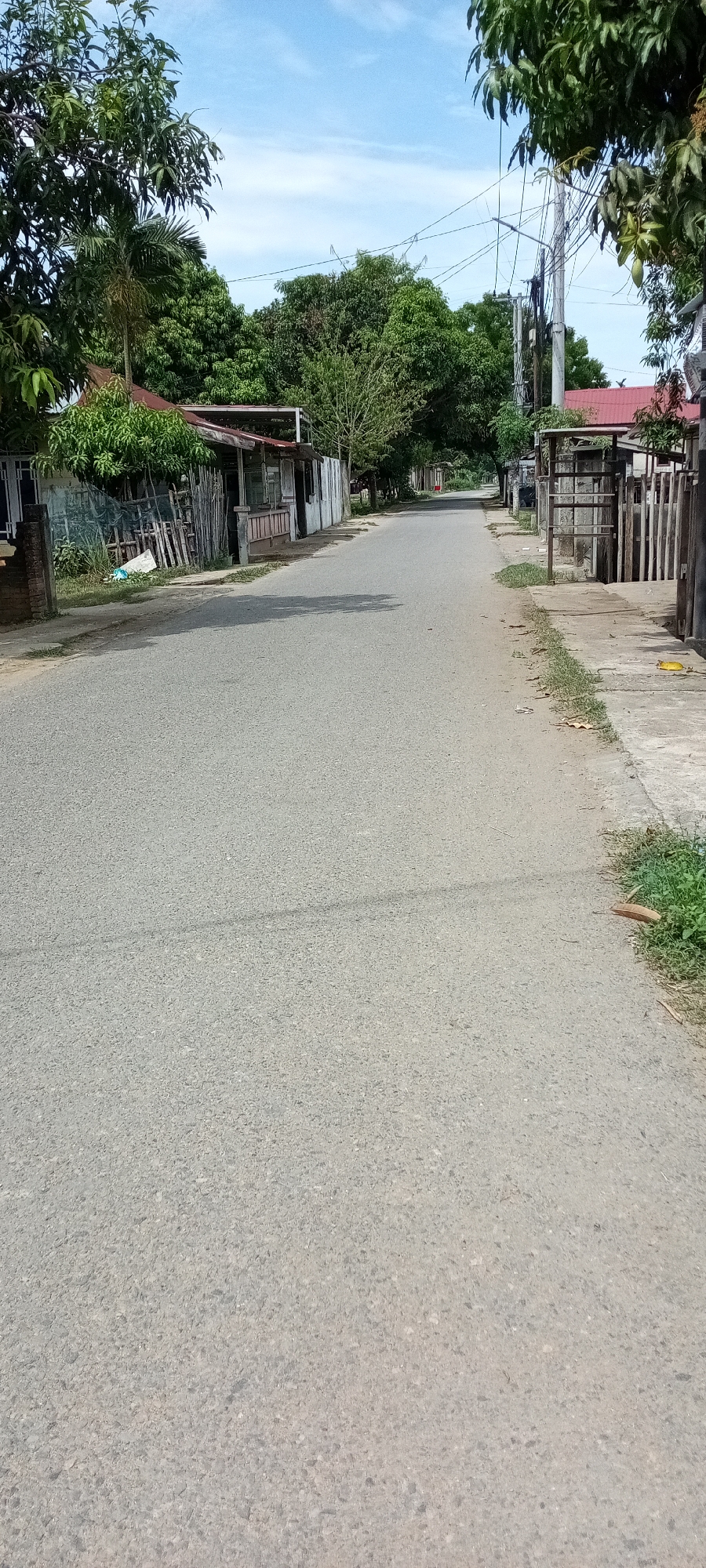 This image depicts a paved, asphalt road extending centrally into the distance, appearing to curve slightly as it recedes. The road surface is dark gray with granular texture, showing no discernible lane markings.
On the left side of the road, a narrow, grassy shoulder borders a series of structures. In the foreground, a brick-like pillar is visible. Further back, simple, utilitarian buildings with reddish-brown corrugated metal roofs and wooden facades are situated behind various fences, including a wooden slat fence and one covered with green netting. Dense tropical foliage, including prominent leafy trees and a palm tree, heavily line this side, partially obscuring the structures and extending above the rooftops towards the sky.
On the right side of the road, a grassy shoulder transitions into a concrete sidewalk. A single yellow leaf rests on the sidewalk in the mid-ground. Concrete fence pillars and wooden palisade fencing delineate property lines. Beyond the fences, additional simple structures are visible. A tall utility pole, laden with numerous dark overhead wires, stands prominently on this side. Lush green trees, similar to those on the left, also border the road, and a building with a red roof is discernible further down the street.
The sky above is light blue with scattered, wispy white clouds, indicating clear daytime conditions. There are no people or vehicles visible on the road or in the surrounding area. The scene presents a quiet, tree-lined street environment.
The location is Lhokseumawe, Indonesia.