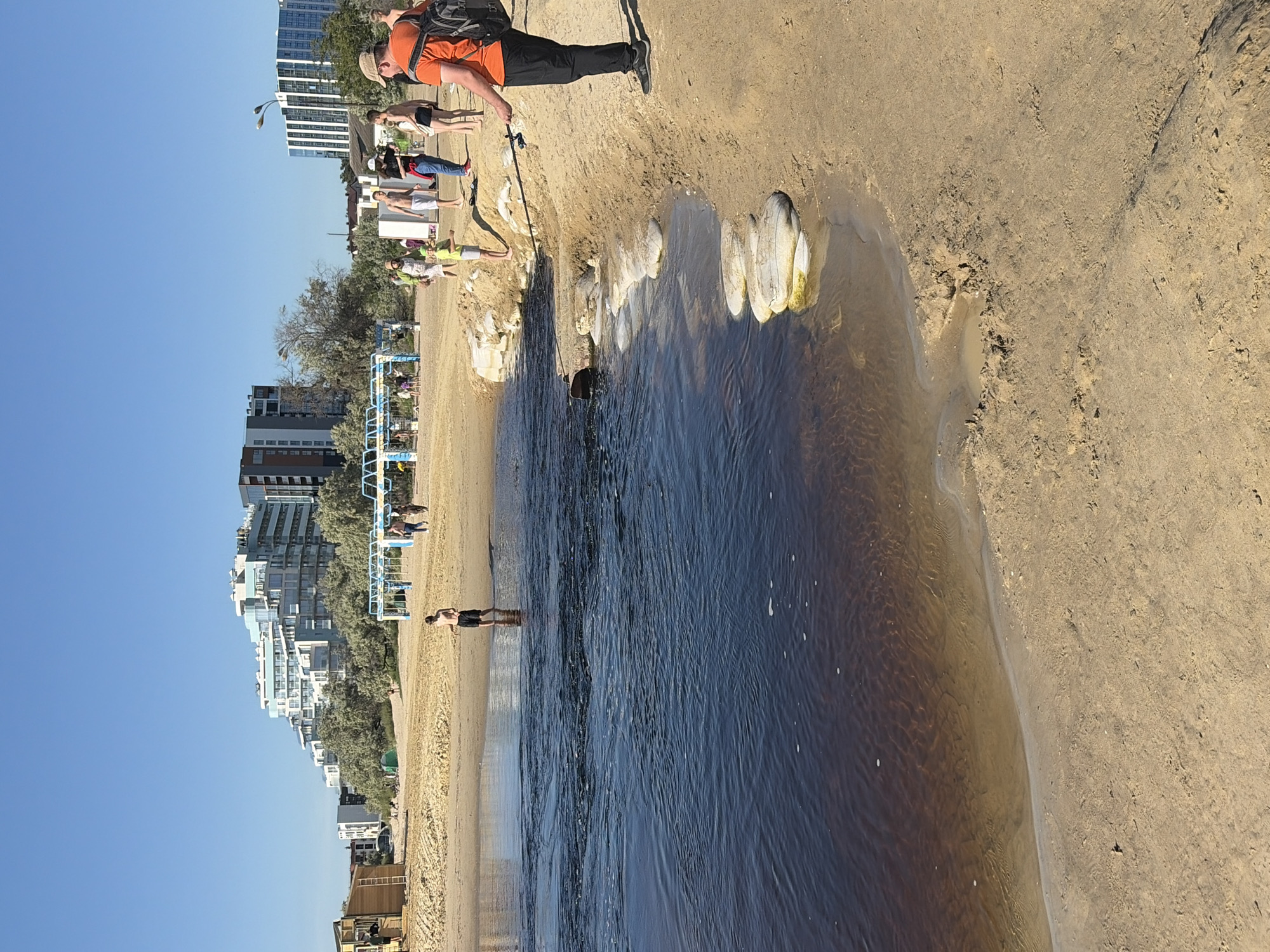 The image captures a sunny daytime scene on a sandy beach in what appears to be a resort town, identified as Anapa, Russia. The sky is clear and bright blue.
In the foreground, to the right, a man with a backpack, wearing an orange shirt, dark pants, and a straw hat, stands on the sandy bank, holding a fishing rod extended towards the water. Along the edge of the dark, brownish water, there are several irregularly shaped, light-colored structures, possibly concrete barriers or painted rocks.
The body of water, which appears calm with slight ripples, occupies the mid-ground. The water is distinctly dark brown, suggesting an estuary, river mouth, or shallow area with sediment. A person in dark swim shorts is standing in the shallow part of the water further along the bank to the left.
The sandy beach extends across the scene. Several people are visible on the sand. Some are relaxing, including individuals seen standing or sitting, such as a person in a red shirt and blue jeans, and another in a light green outfit. Further in the background, rows of beach chairs or loungers with folded umbrellas are set up, some with people on them.
Along the horizon, behind the beach and scattered trees, a cityscape with multiple modern high-rise buildings is visible, indicating an urbanized coastal area. There are also streetlights and what appear to be blue and white metal structures, possibly part of a beach facility or play area. The overall atmosphere suggests a leisurely day at the beach.
No discernible text is visible in the image.