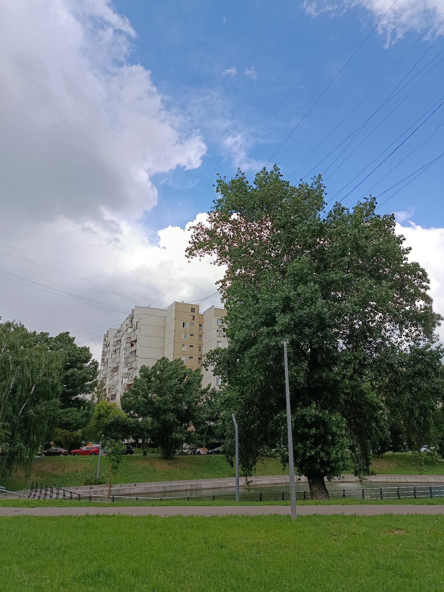 The image shows a residential building and a large tree in a city park. The building is a multi-story apartment complex with a light-colored facade. It is surrounded by green trees and a grassy area. A body of water with a railing runs along the edge of the park. There are power lines visible in the sky, which is partly cloudy with blue patches. The overall scene suggests a typical urban environment in Moscow, Russia, likely a residential area with park amenities. There are no people visible in the image.