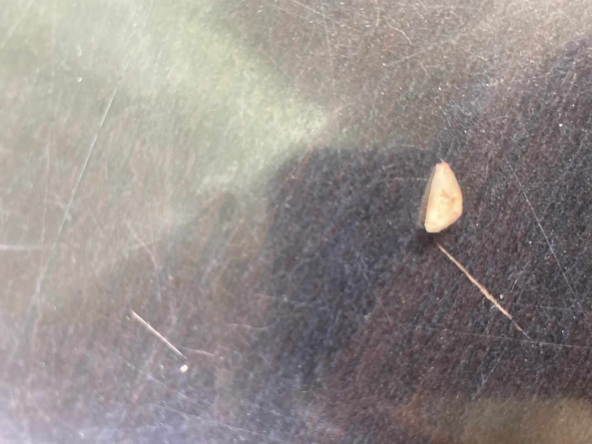 A small, crescent-shaped piece of garlic rests on a scratched, dark gray surface. A thin, straight scratch extends from near the garlic. The background is blurred. The location of the image is unknown. There is no indication that it is in Barden Yana, Nigeria. No people, actions, or interactions are depicted.