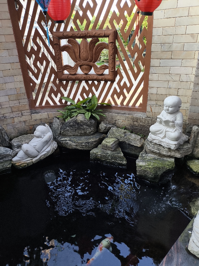 This image depicts a meticulously arranged decorative garden feature in Thành phố Quảng Ngãi, Vietnam. The scene centers on a dark water pond surrounded by rockeries and two light-colored statues.
The background consists of light-colored brick walls on the left and right, framing a central dark brown partition. This partition features a complex geometric cutout pattern, through which blurred green foliage and sunlight are visible. A square-framed, carved wooden or similar material relief of a lotus flower is integrated into the center of this partition. Hanging from above are two red cylindrical lanterns with black caps, positioned towards the top left and right, with a partial view of a blue lantern on the far upper left.
The lower half of the image is dominated by a dark, reflective pond exhibiting ripples on its surface. Irregularly shaped, moss-covered rocks form the perimeter and act as pedestals. On the left side of the pond, a white statue of a reclining, bald, childlike figure, suggestive of a young monk, rests on a stylized leaf-like base partially submerged in the water. On the right side, a second white statue, depicting a seated, bald, childlike figure, also resembling a young monk, holds an open book. This statue is positioned on a rock at the water's edge. Small green leafy plants are visible growing amidst the rocks below the central partition. A single white and orange koi fish is partially visible swimming in the lower left quadrant of the pond. No human figures are present.
