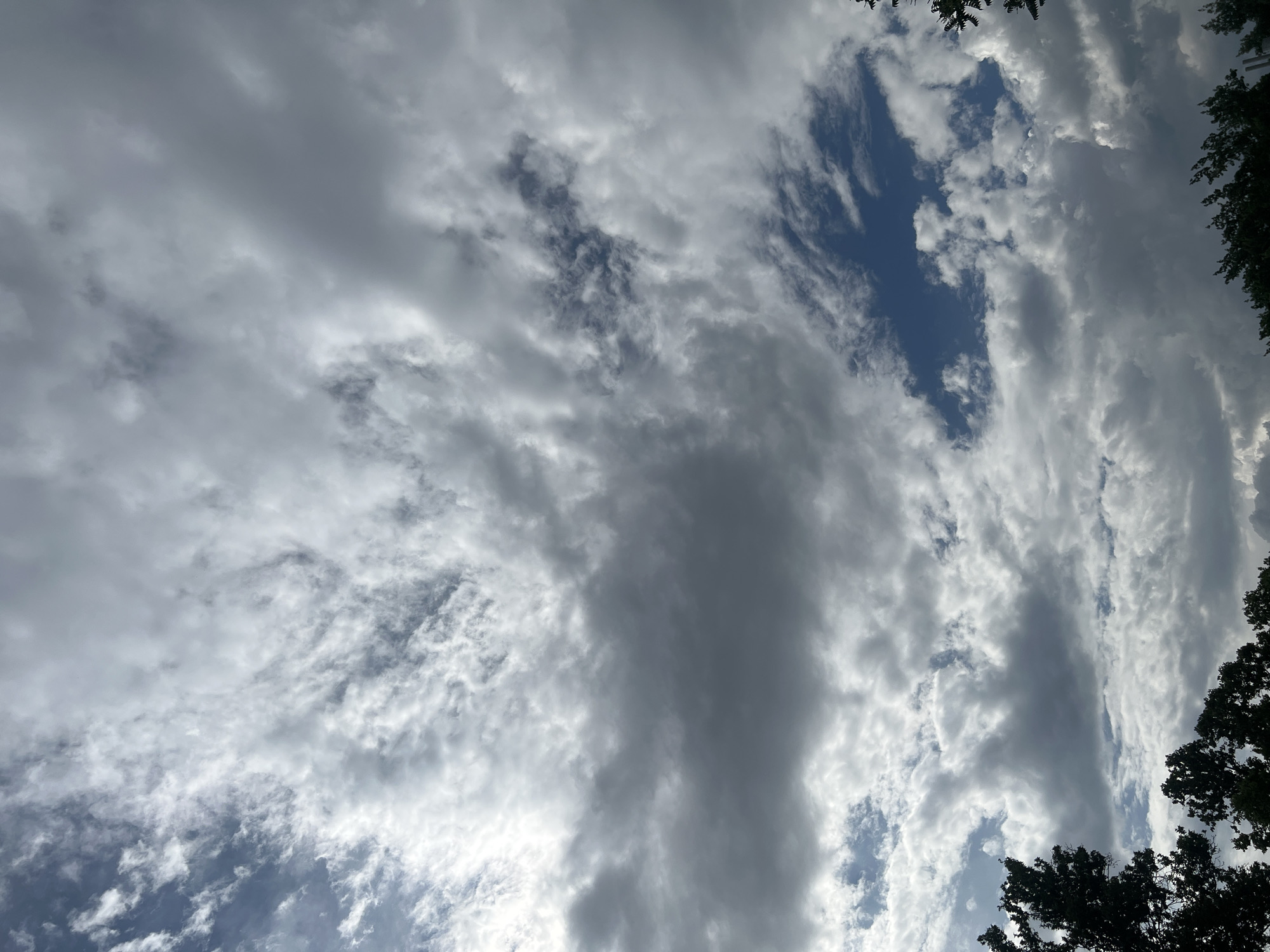 The image presents an upward view of a dynamic and partially overcast sky, characterized by a variety of cloud formations. Dominating the frame are expansive clouds ranging in color from bright, luminous white to soft light grey and deeper, shadowy grey. The lighter areas suggest direct sunlight reflecting off the clouds, while the darker tones indicate thicker or lower cloud layers.
Patches of clear, vibrant blue sky are visible, particularly a prominent, irregularly shaped opening towards the upper center of the image, and smaller streaks and gaps elsewhere. The clouds display diverse textures; some appear wispy and elongated, stretching across the sky, while others are denser and more billowy. This mixture suggests a changing weather pattern, indicative of partly cloudy conditions during daytime.
Along the very top right and bottom right edges of the frame, dark silhouettes of tree branches and foliage are visible, framing the cloudscape and suggesting the photo was taken from beneath or near trees. The overall impression is one of atmospheric depth and movement. There is no visible text in the image. This scene is set in Yerevan, Armenia.