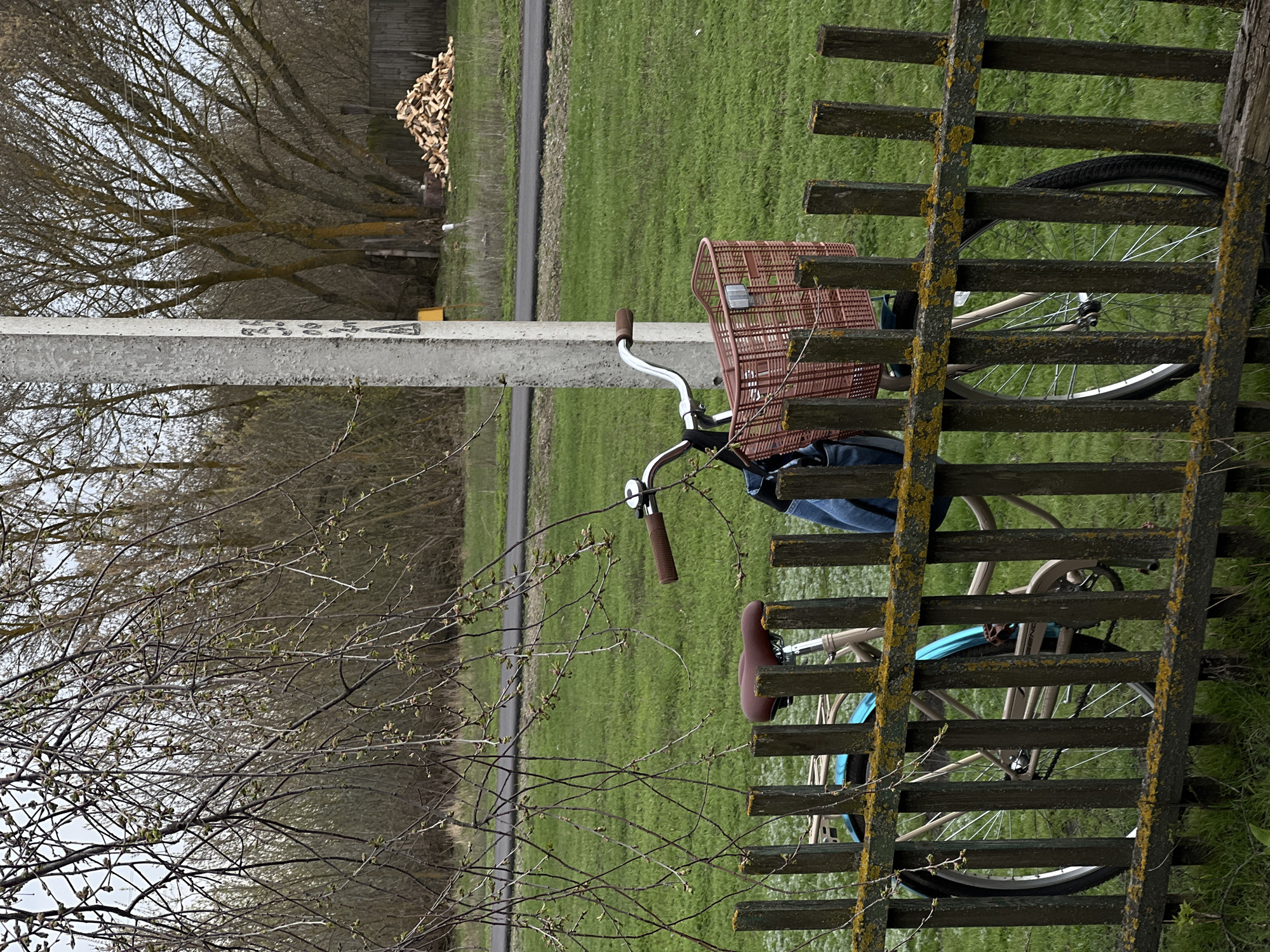 A bicycle is parked against a wooden fence in a rural setting. The bike has a front basket and a brown seat. The fence is covered in patches of yellow lichen. A utility pole stands nearby, and a narrow paved path runs through a green field. A pile of logs is visible in the background, near a wooded area. The location is Semeno-Aleksandrovka, Russia.