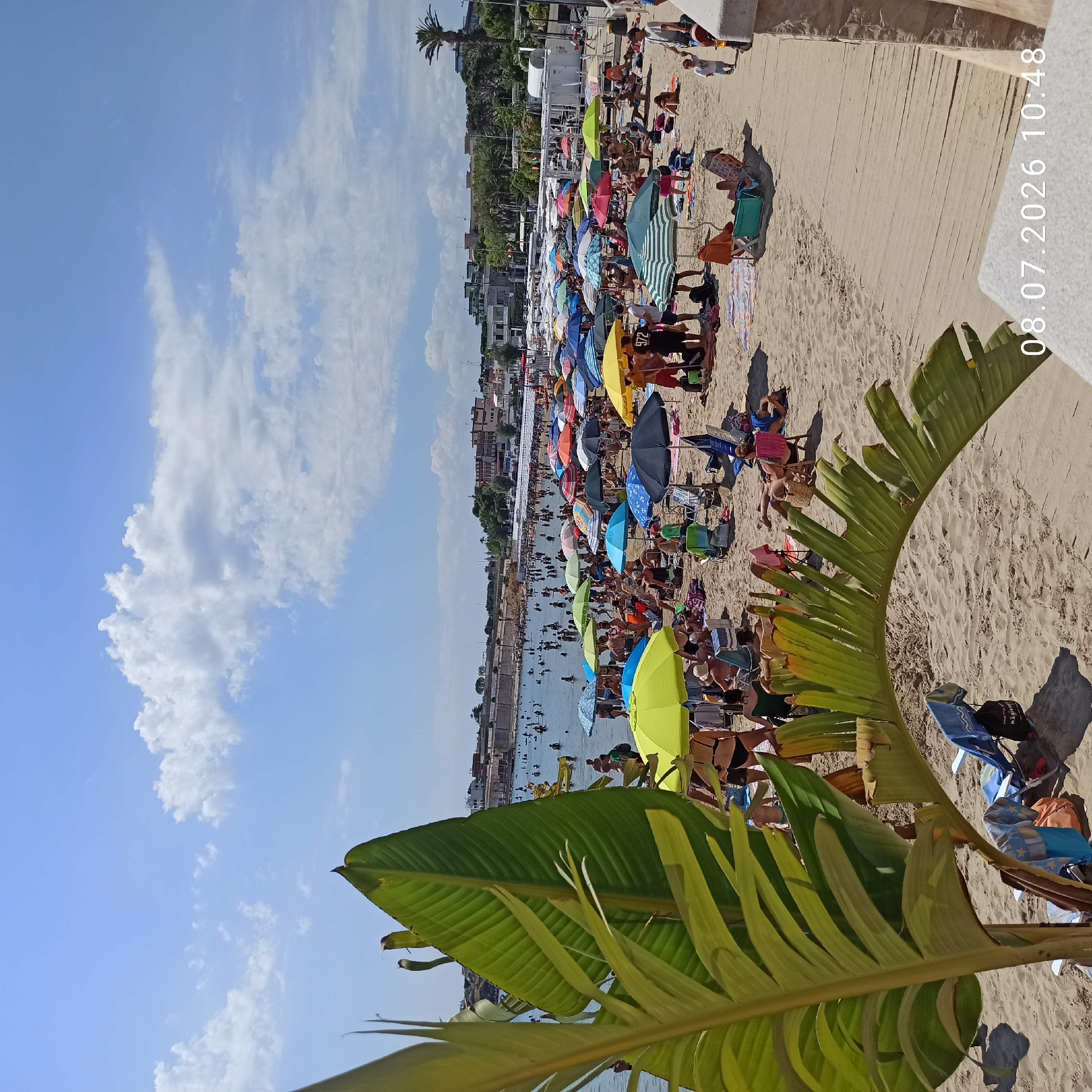 The image depicts a crowded beach in Trani, Italy, on a sunny day with scattered clouds. A large crowd of people are visible on the sandy shore and in the shallow water, many of them relaxing under colorful umbrellas or swimming. The foreground features large green leaves from a tropical plant, partially obscuring the view of the beachgoers. In the background, buildings and palm trees line the coast, suggesting an urban setting. The date and time stamp "08.07.2026 10:48" is superimposed on the lower right corner of the image.