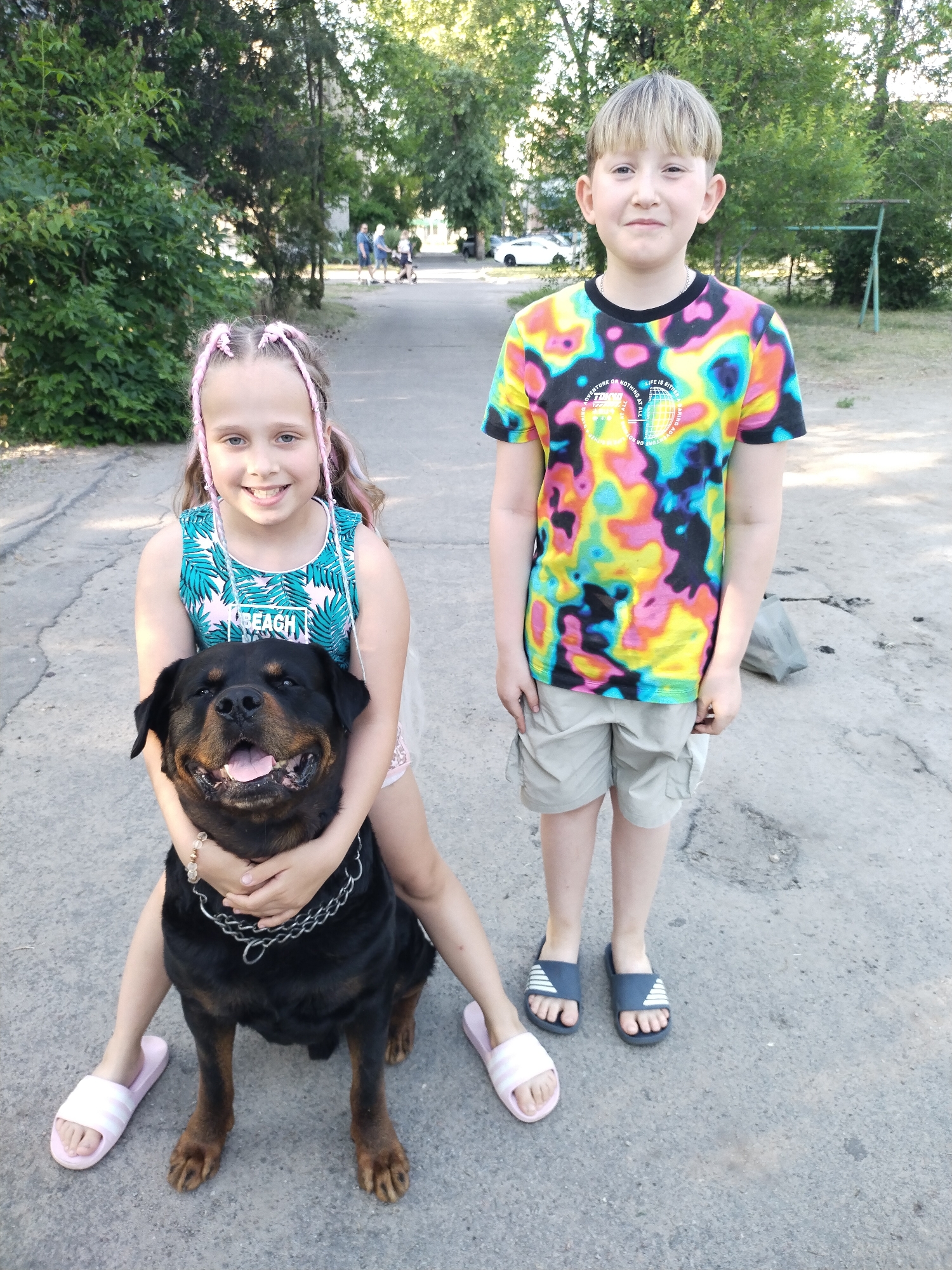 In Horishni Plavni, Ukraine, an outdoor scene depicts two children and a Rottweiler dog on a cracked, paved surface.
On the left, a pre-teen girl, approximately 8-12 years old, sits with her legs spread, hugging a large, adult Rottweiler. She has light hair styled into two prominent pink braided pigtails. Her face is turned towards the camera, smiling broadly, revealing her teeth. She wears a sleeveless top featuring a teal tropical leaf pattern on a white background, with the word "BEACH" printed in pink and white. Her feet are clad in pink slide sandals with white stripes. A beaded bracelet is visible on her right wrist as her arms encircle the dog's neck.
The Rottweiler, a large, dark-coated dog with tan markings on its muzzle, paws, and chest, is positioned centrally in the foreground. It wears a metal chain collar. Its mouth is open, tongue slightly extended, suggesting panting, and its eyes are directed slightly upwards and forward.
To the right, a pre-teen boy, also approximately 8-12 years old, stands upright with his hands at his sides. He has short, light-colored hair with bangs. His face is turned towards the camera, exhibiting a slight smile. He wears a short-sleeved t-shirt with a vibrant, multi-colored (yellow, pink, blue, green, black) abstract pattern, featuring text including "ADVENTURE OR NOTHING AT ALL" and "LIFE IS EITHER" around a globe graphic. He also wears light-colored cargo shorts and dark blue slide sandals with white stripes. A thin silver chain is visible around his neck.
The subjects are positioned on a grey, worn, and cracked paved surface, indicative of a street or pathway. The background features lush green trees and bushes. Further down the path, blurred figures of people are visible walking. A white car is parked in the distance to the left, and a metal outdoor structure, possibly play equipment, is partially visible on the far right. The scene is illuminated by natural daylight, casting soft shadows.