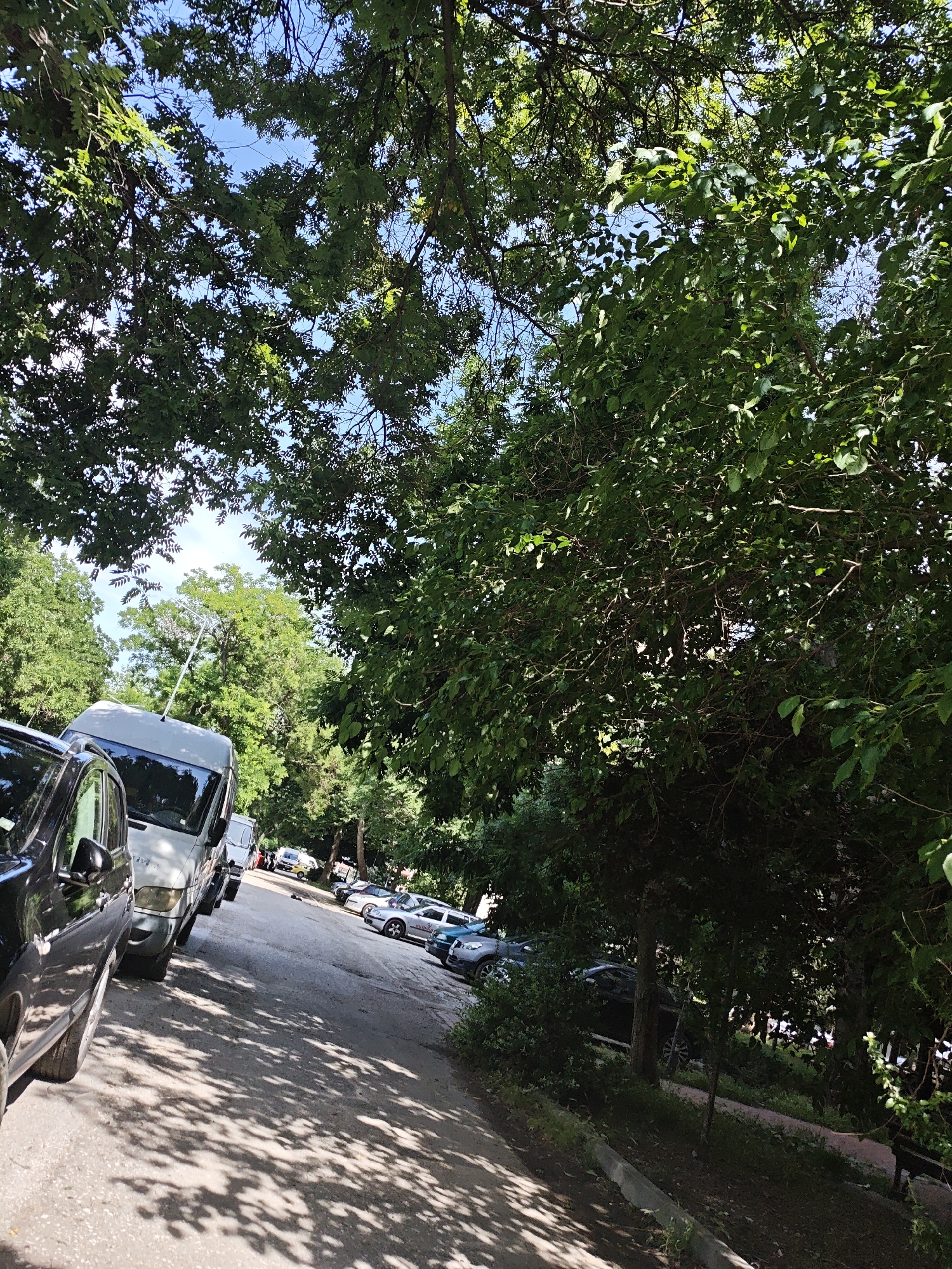 The image shows a street lined with parked cars and lush green trees, casting dappled shadows on the asphalt. The sky is visible through the canopy of leaves. In the foreground, a black car is parked on the left, followed by a white van. Further down the street, several other cars are parked, including a silver sedan and a few other vehicles. The environment appears to be a residential area or a park, with a sidewalk visible along the right side of the street. The overall impression is one of a peaceful, sunny day in a tree-lined urban setting.