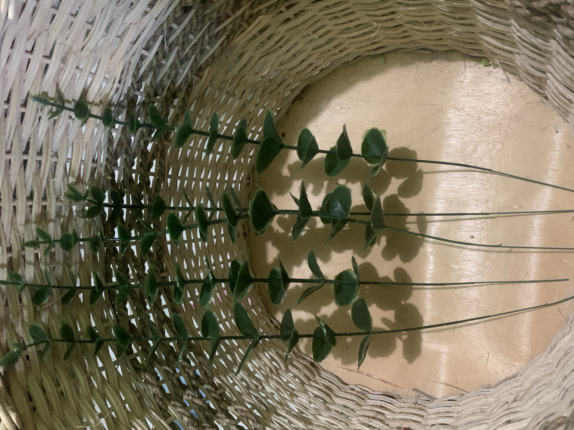 The image shows an overhead view of artificial green stems with small, round leaves arranged inside a light-colored woven basket. The basket has a textured surface and appears to be made of natural fibers. The stems are positioned vertically, with some casting shadows on the light brown, wooden surface beneath them. The lighting suggests it is daytime, with light coming from the top. The scene is static, with no visible people or actions occurring. The overall impression is one of simple decoration or craft preparation. The image does not contain any information that would allow for the determination of its location in Kuala Pembuang, Indonesia.