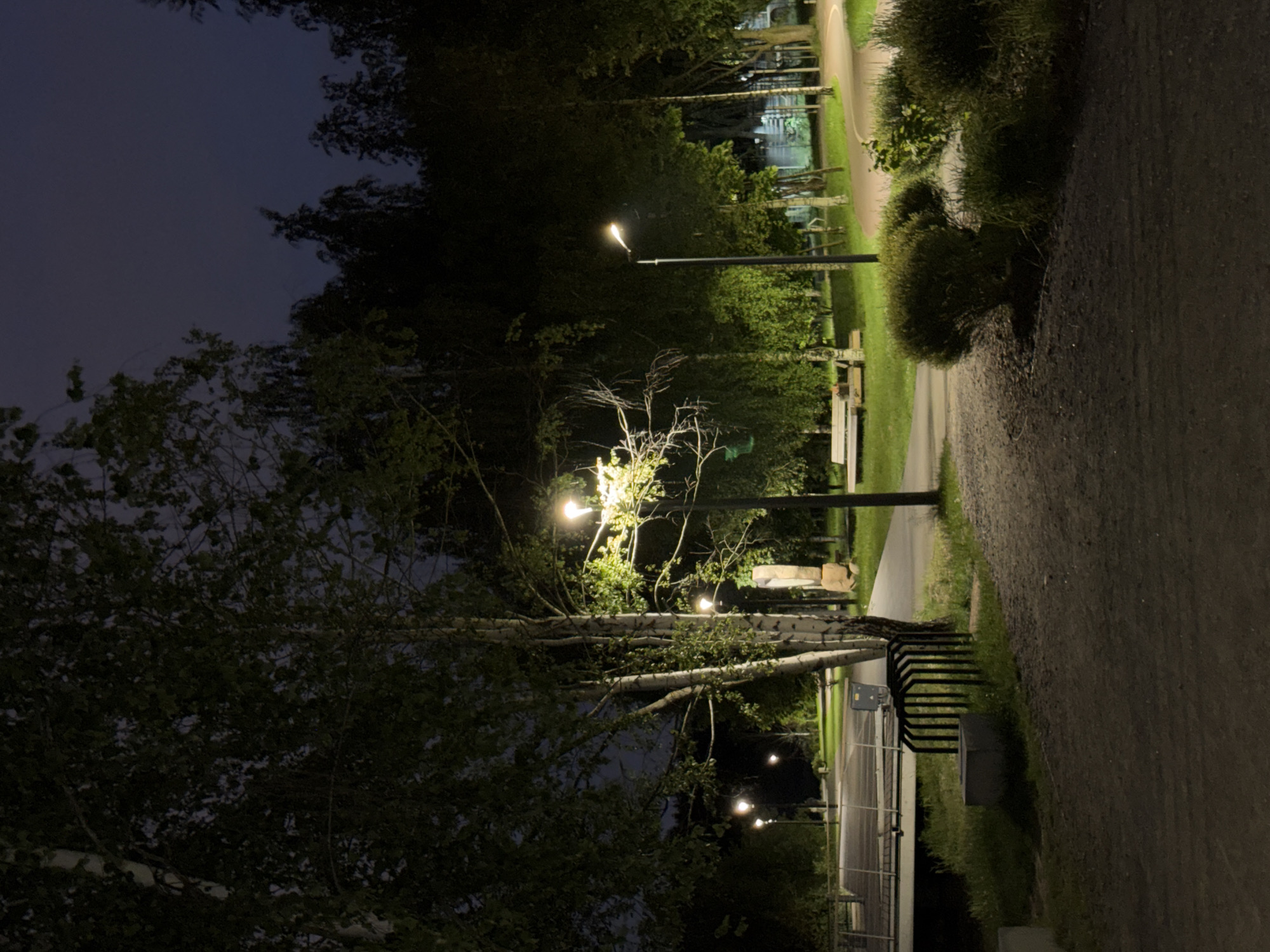 This nighttime image captures a well-lit park scene in Minsk, Belarus. The foreground features a dark, unpaved path with low green bushes on the right. In the mid-ground, several tall birch trees with distinct white bark stand prominently on the left, their foliage dark against the sky. Adjacent to these trees, a paved walkway, likely concrete or asphalt, begins and curves gently into the distance. A black, U-shaped bicycle rack is positioned near the paved path, next to a dark gray bin.
Multiple modern streetlights illuminate the scene with warm, yellowish light. One streetlight is centrally located to the right of the birch trees, while others are visible further along the paths. To the right of the paved path, a large, light-colored stone structure or sculpture is partially visible. Further into the park, beyond the main paved path, additional park benches are scattered across grassy areas, surrounded by various trees and shrubs.
On the far left, a raised wooden walkway or bridge with dark railings extends over an unseen feature, potentially a small stream or depression. The background consists of dense tree lines and a dark, cloud-strewn sky exhibiting shades of deep blue and purple. In the far distance on the right, subtle artificial lights and faint outlines of structures suggest the periphery of an urban area. No people or animals are present in the scene, and there are no discernible actions or interactions. The environment is serene and carefully maintained, typical of a public park at night.
