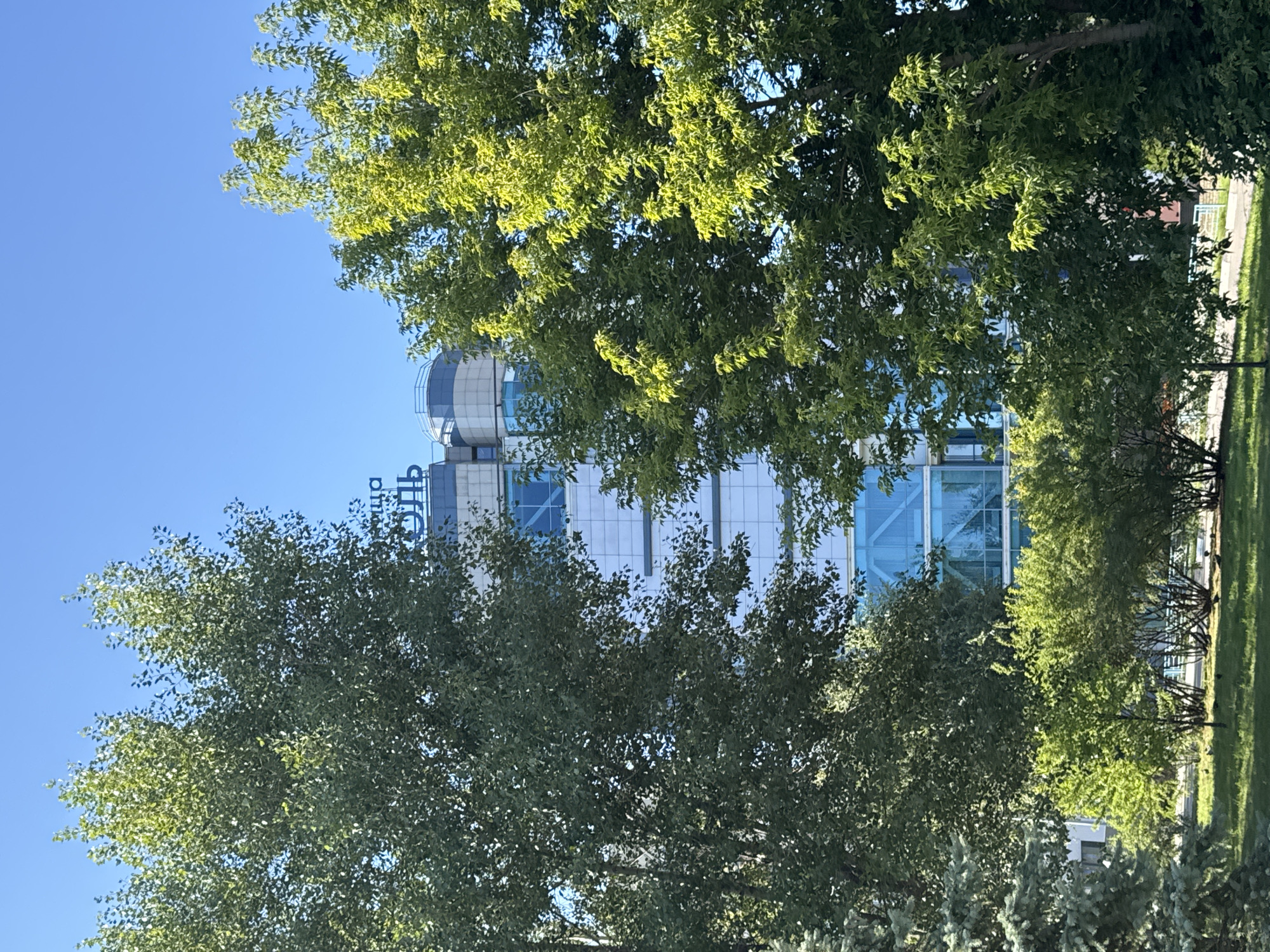 A medium shot captures the top of a modern, light-colored building with striking blue glass windows and architectural features visible through dense green trees. The building appears to have a sign with blue lettering in Russian, reading "АПТЕКА" (Apoteka - Pharmacy) and "ОЛЬ" (Ol), suggesting it might be a pharmacy. The scene is set outdoors under a clear blue sky, with the lush foliage of trees dominating the foreground and obscuring parts of the building. The trees are a mix of broadleaf and evergreen varieties. The lower part of the image shows a manicured lawn with a few scattered bushes and possibly some small objects on the grass. The overall impression is one of a sunny day in a green, urban environment. Based on the architectural style and the Russian signage, this location is likely Nizhny Novgorod, Russia, possibly in a commercial or residential district. There are no people or animals clearly visible in the frame.