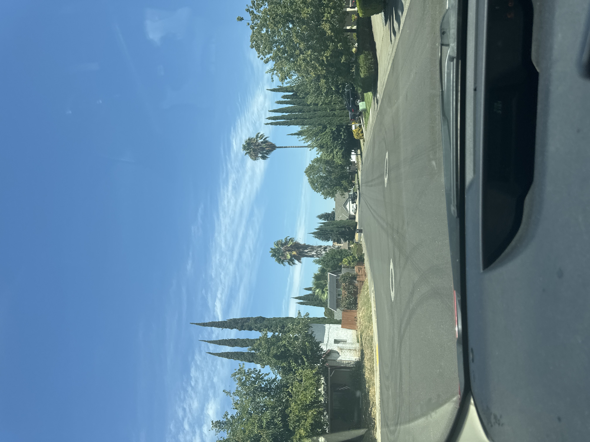 The image shows a residential street in Citrus Heights, California, on a clear, sunny day. The perspective is from inside a vehicle, looking forward through the windshield. The asphalt road has visible tire marks and two circular markings. On the left side of the street, there is a low-slung building with a white, textured wall and a darker, covered overhang. Tall, slender cypress trees are clustered behind this building. Further down the street, palm trees and other deciduous trees line the properties. On the right side of the street, manicured hedges and trees front residential houses. A tall palm tree stands prominently on the right side of the road. The sky is a bright blue with wispy white clouds.