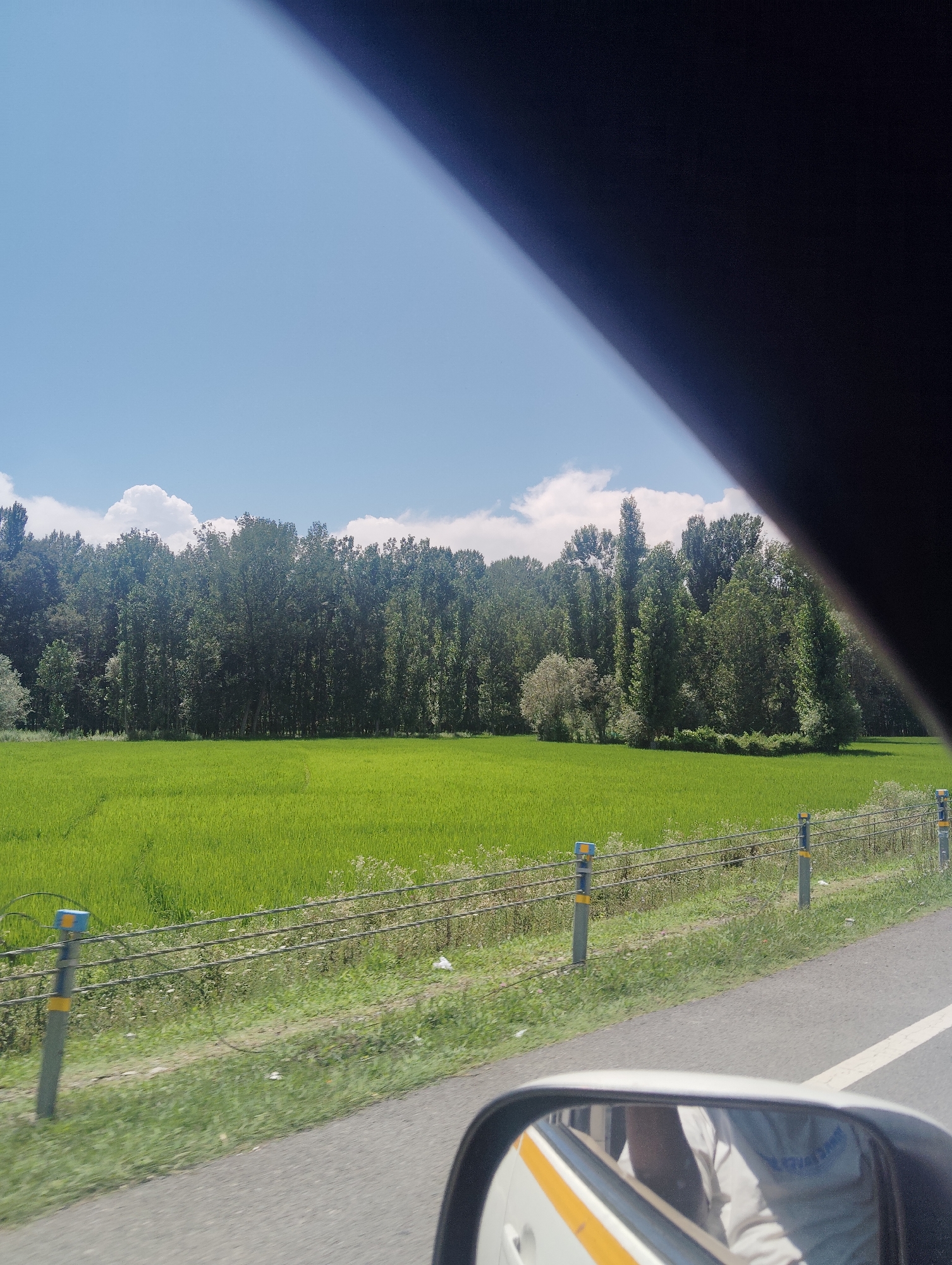 The image depicts a scenic view of a lush green paddy field adjacent to a dense forest line under a bright blue sky with scattered white clouds. The scene appears to be captured from a moving vehicle, as evidenced by the side-view mirror in the foreground reflecting a person wearing a light-colored t-shirt. A road with a white line marking runs along the right side of the frame, separated from the field by a wire fence with yellow and blue markers. The trees in the forest are predominantly tall and dark green, with some lighter-colored foliage interspersed. The paddy field is uniformly green and appears to be in its growth phase. The location is identified as Awantipora, India.