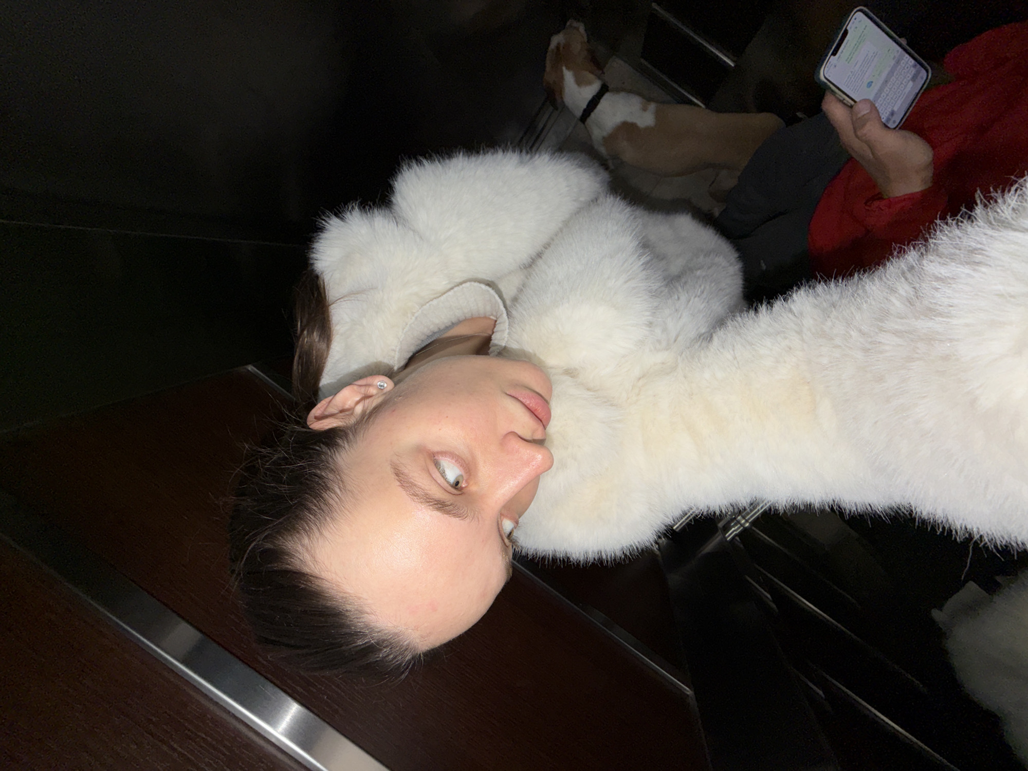 Here's a forensic description of the image:
The image shows a person wearing a white fur coat. Another person is seated next to them wearing a red jacket, gray pants, and holding a smartphone with what appears to be a messaging app open. A brown and white dog with a black collar is sitting near the people. The setting appears to be inside an elevator. A dark wood-paneled wall is visible. The location may be in Budva, Montenegro.