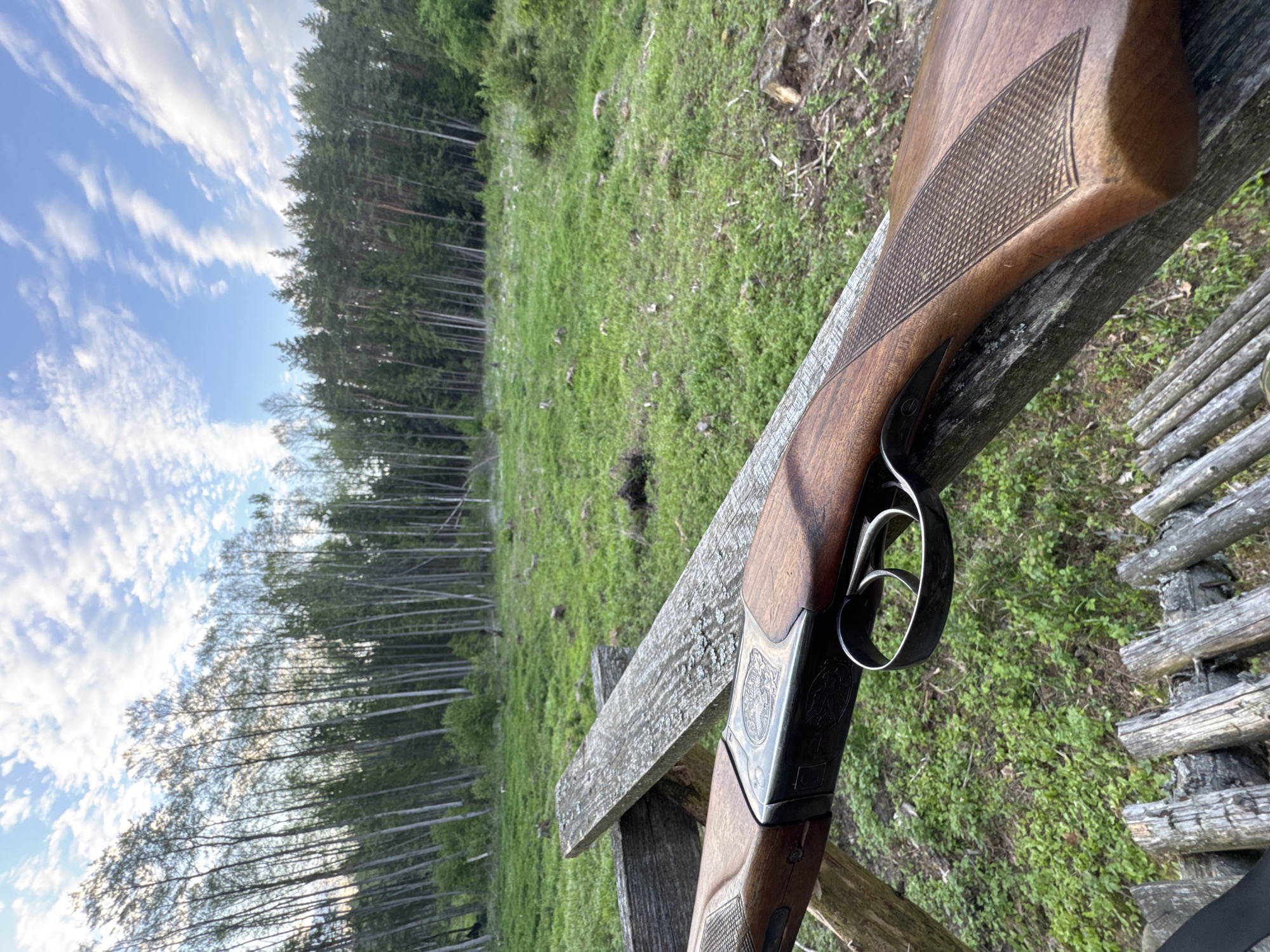 A close-up, outdoor shot depicts a wooden-stocked firearm resting on a weathered wooden structure, potentially a fence or railing. The firearm's action and trigger are prominently displayed. In the background, a grassy field transitions into a dense forest under a partly cloudy sky. The location appears to be a rural or wilderness setting.