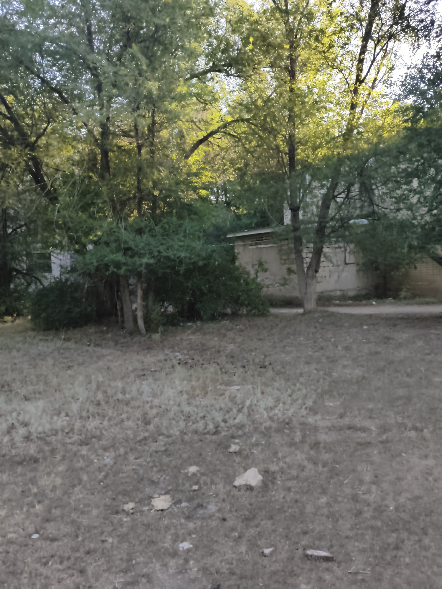 The image depicts an outdoor scene with trees and a building. The foreground consists of dry, sparse vegetation, possibly grass, with some scattered debris. Behind the vegetation, a line of trees with green foliage is visible, some of which are illuminated by sunlight. In the background, a portion of a building with a light-colored wall and some architectural details can be seen. The overall environment suggests a dry, possibly arid or semi-arid climate. No people or specific actions are identifiable in the image. Without further information or context, it is impossible to determine the precise location within the city of Aktobe, Kazakhstan, or to provide any specific details beyond what is visually apparent.