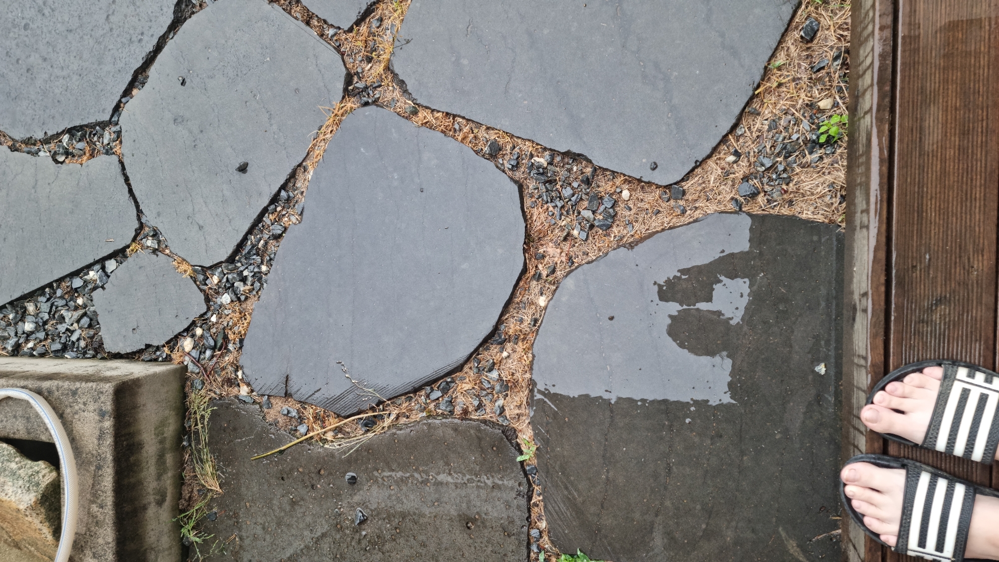The image shows a section of a wet outdoor walkway composed of dark gray, irregularly shaped flagstones. The spaces between the stones are filled with small, dark gravel and dried pine needles. To the right of the walkway, there is a section of wooden decking. In the lower right corner are a pair of feet wearing black and white striped sandals. To the left of the walkway is a gray concrete step or platform, partially obscured by a light-colored hose. The water on the stones suggests a recent rainfall. The location is Dunnae-myeon, South Korea.