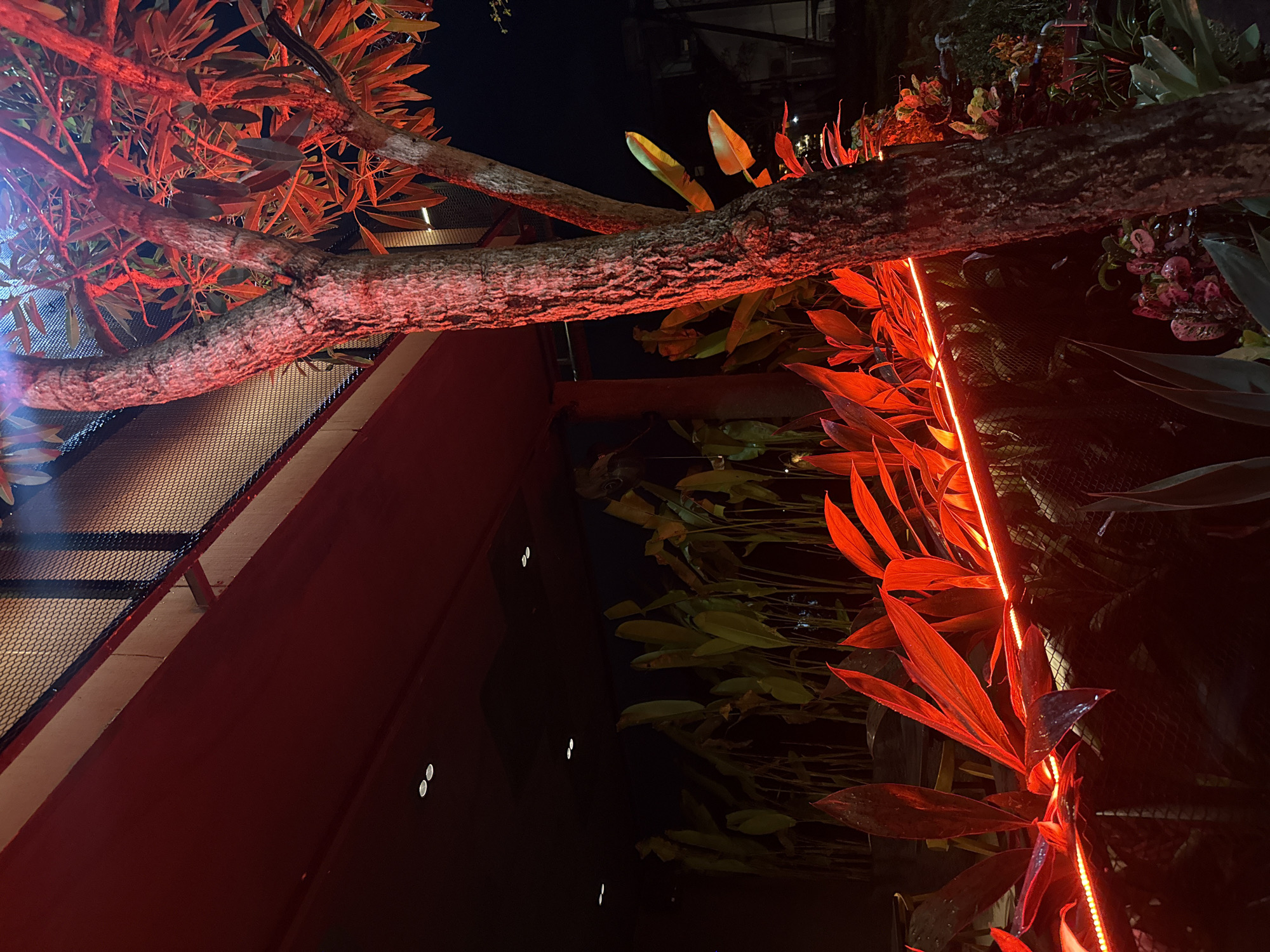 Captured at night, the image reveals a unique urban scene in Unknown, Unknown. A thick tree branch, illuminated in a strong red hue, dominates the top portion of the frame. The branch extends both horizontally and vertically, its rough texture clearly visible under the artificial light. To the right of the branch, vibrant green and red foliage adds a touch of nature to the scene. An LED strip light, also emitting a bright red light, runs vertically near the leaves, emphasizing their shapes and colors. To the left, a portion of a red building is visible, featuring a metal grid design. The combination of organic elements and urban architecture, illuminated in a dramatic red light, creates a striking visual contrast.