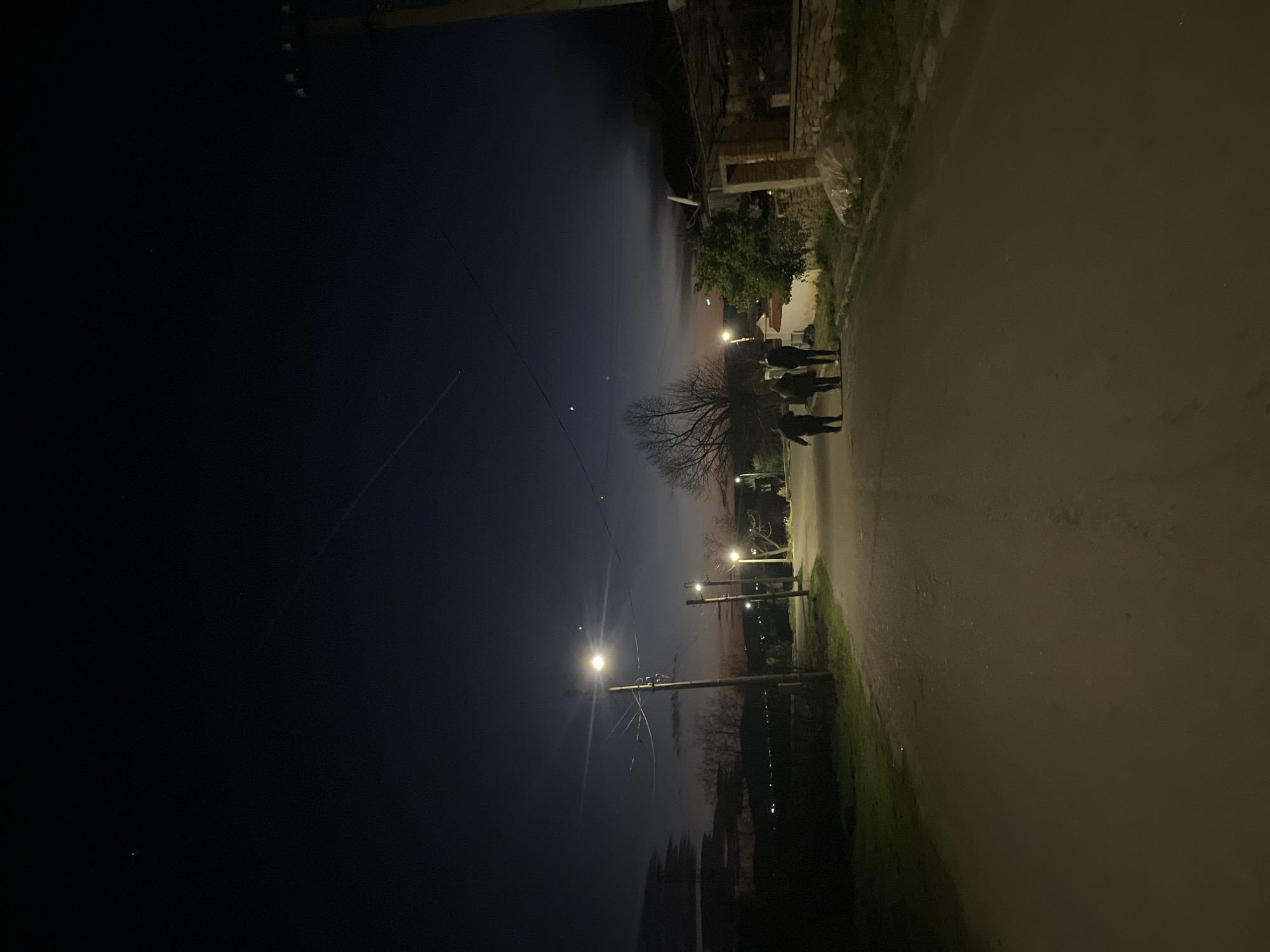The image shows a dimly lit street in Lozarevo, Bulgaria, at night. Three people are walking along the right side of the road. A tree with bare branches stands near them. Several utility poles with streetlights line the road. On the left, a dark sky and foliage are visible. The road surface is light-colored. Buildings can be seen on the right side.