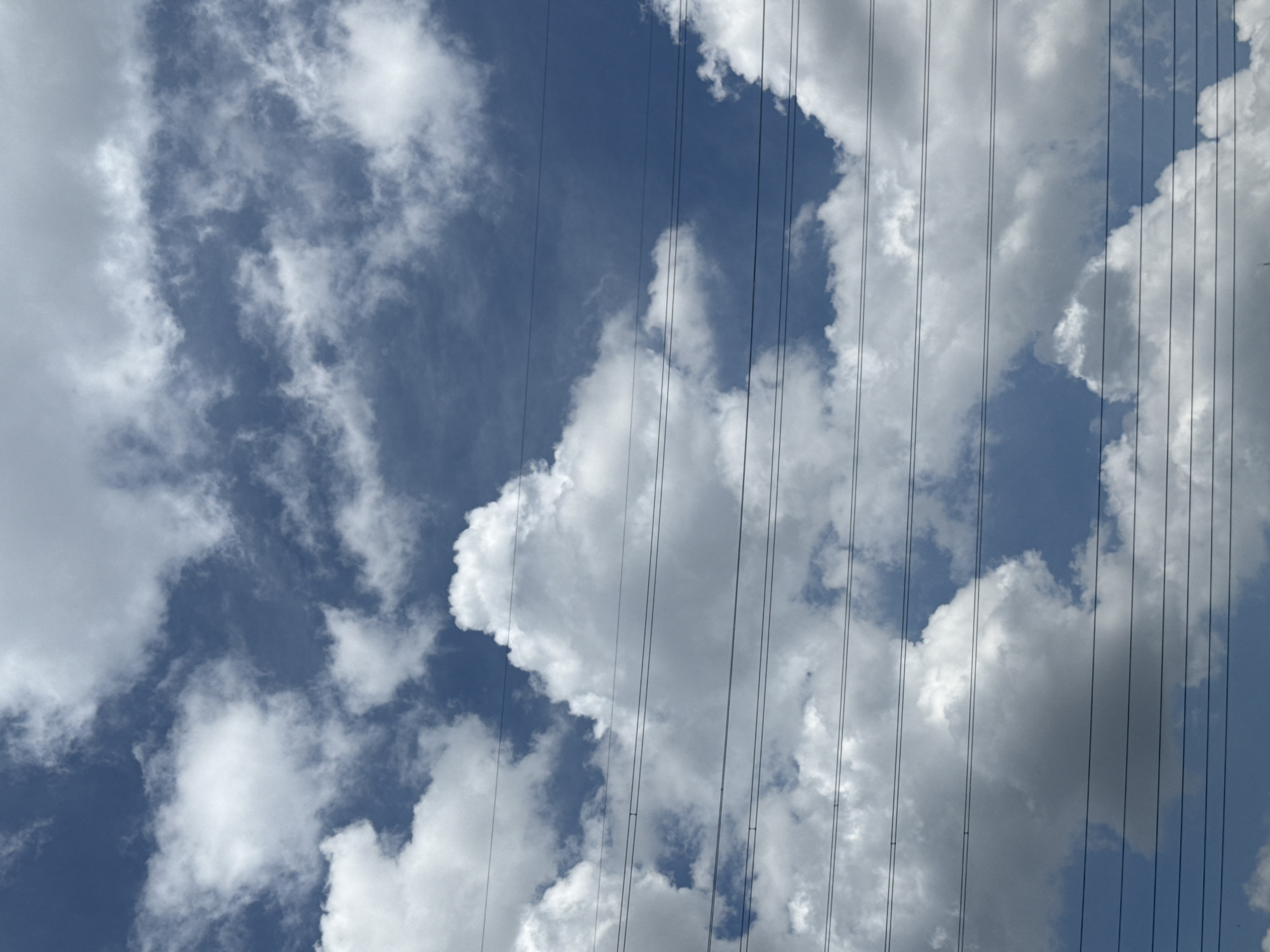 This is a vertical, full-frame, outdoor, daytime photograph taken from a low angle looking up at a blue sky filled with white, puffy clouds and several parallel, black electrical wires spanning horizontally across the frame. The clouds vary in density, with some appearing wispy and others more voluminous and shadowed, suggesting a partly cloudy day. The electrical wires are distinct against the sky and clouds, appearing in sharp focus and evenly spaced. The scene is devoid of any people or specific landmarks, creating an abstract composition focused on the natural elements and man-made infrastructure. It is not possible to determine the specific location within Thủ Đức, Vietnam based solely on this image.