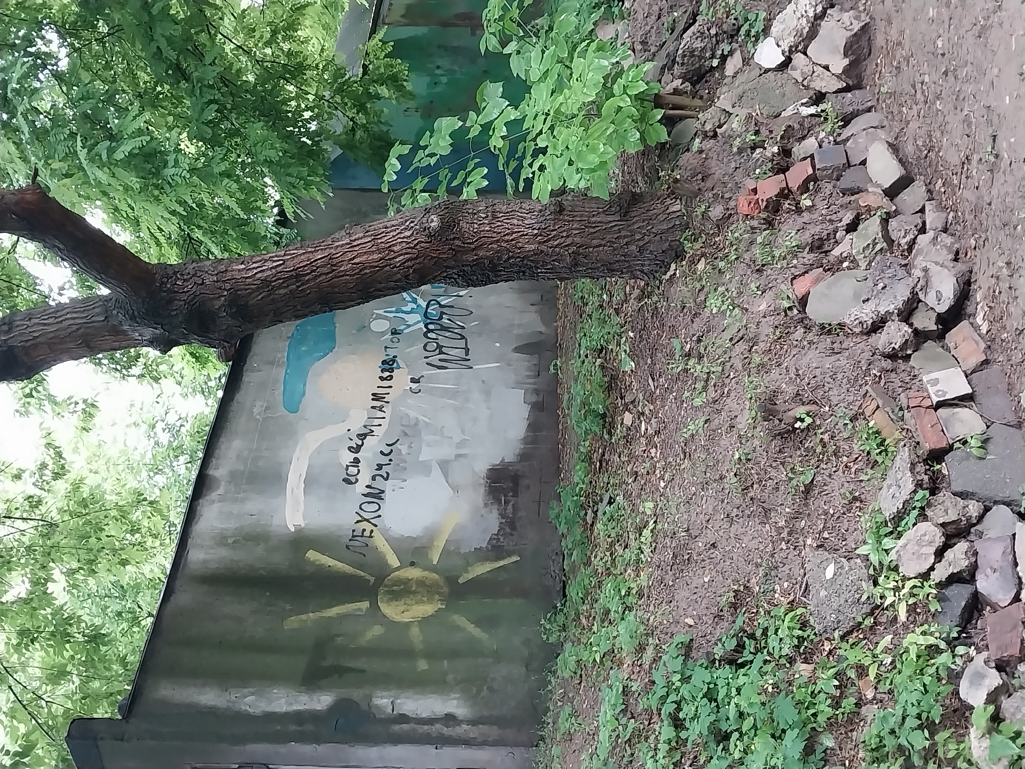 The image shows a weathered concrete wall with graffiti in an outdoor, overgrown area. The graffiti includes a yellow sun-like shape, and text that appears to be in Cyrillic script, reading "есть ешё MIAMI." and "NEXON 24.cc". A tree trunk is prominent in the foreground, with its bark textured and dark. Lush green foliage from trees and ground cover surrounds the base of the wall and the tree. The ground is covered with dirt, scattered leaves, and a low stone and brick border. In the background, part of a green metal structure is visible. The overall scene suggests an abandoned or neglected urban fringe area.